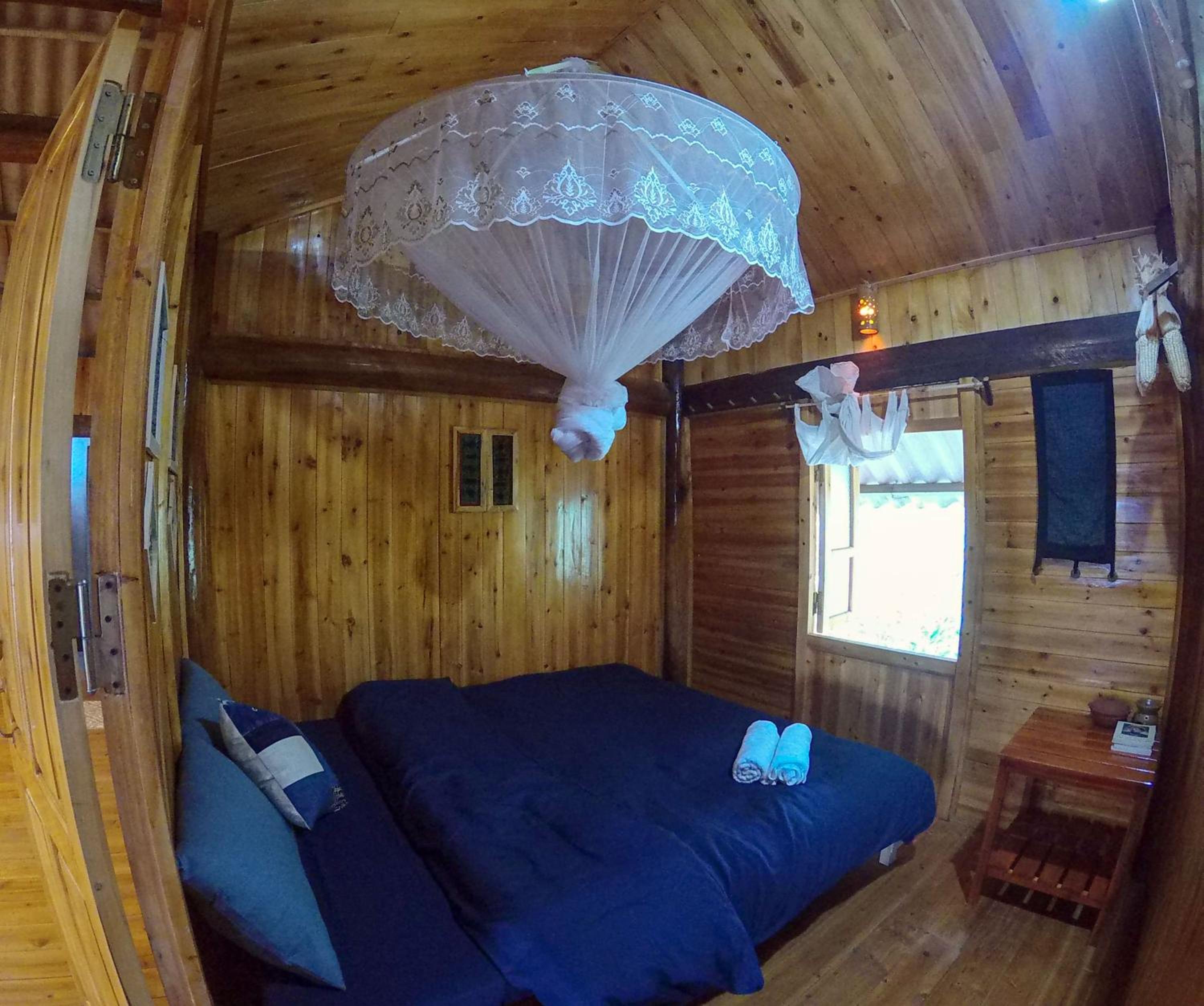 Standard King Room photo 2