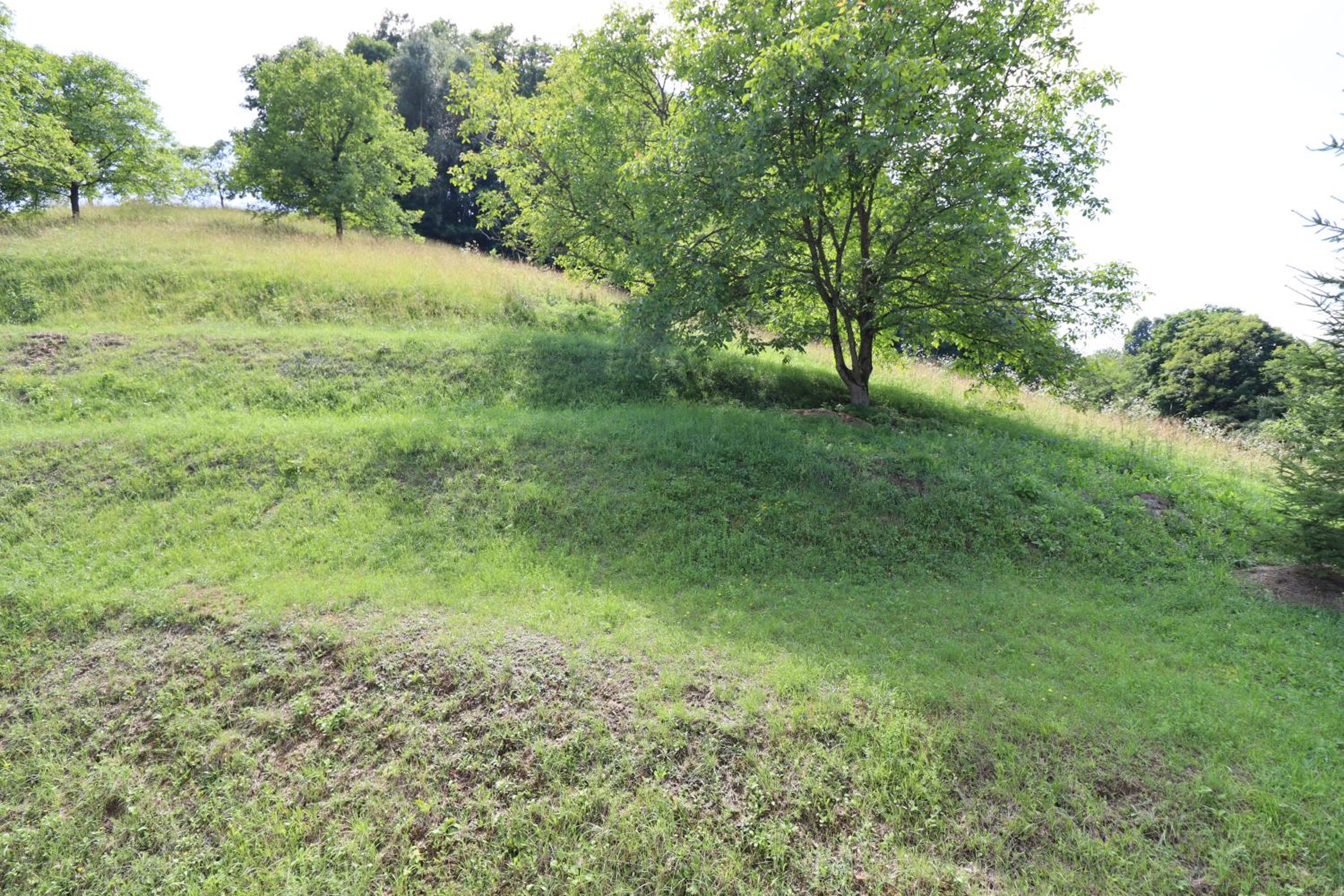 Studio (4 Adults) - Photo 8