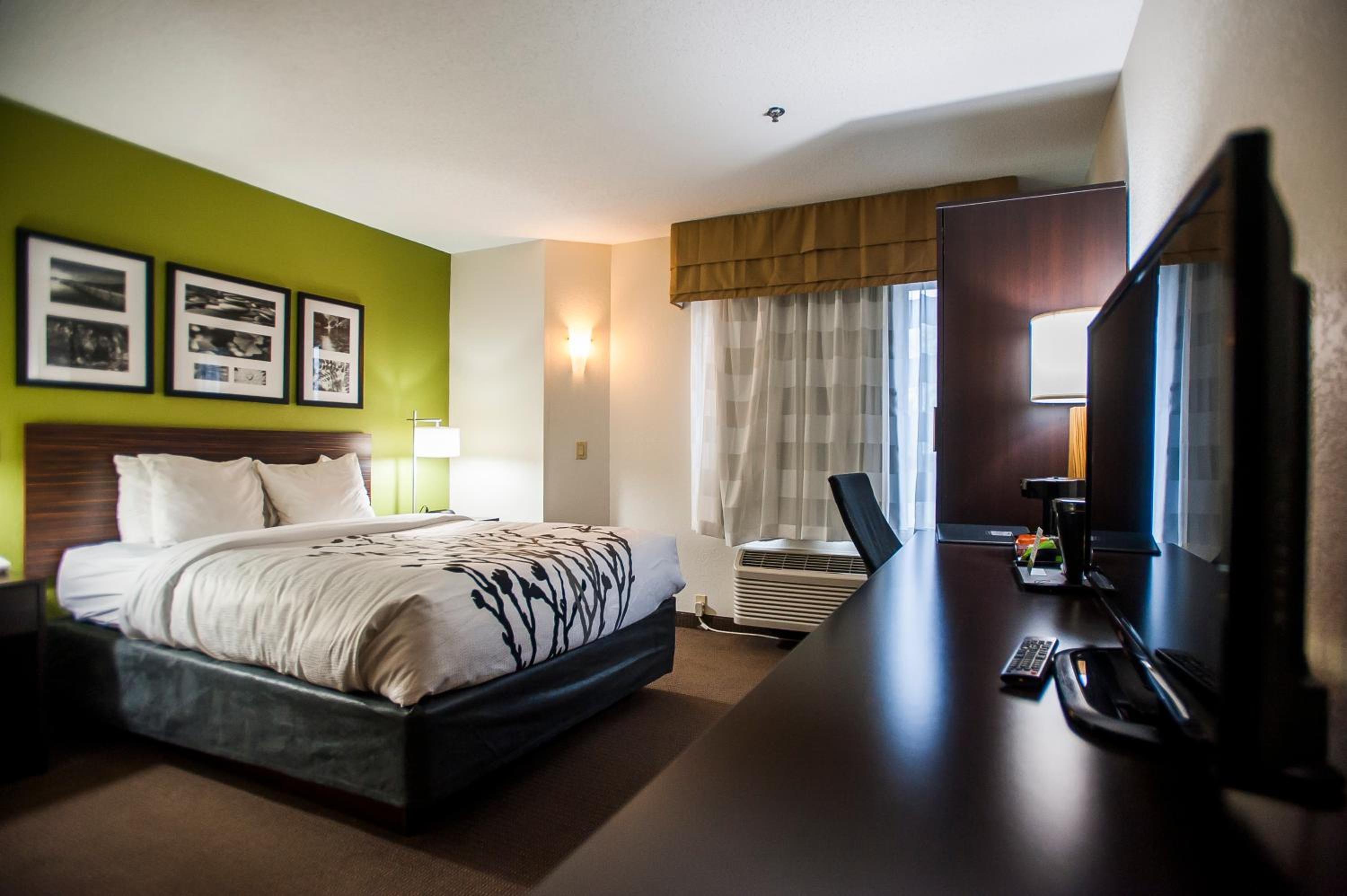 Queen Room - Disability Access/Non-Smoking - Photo 6