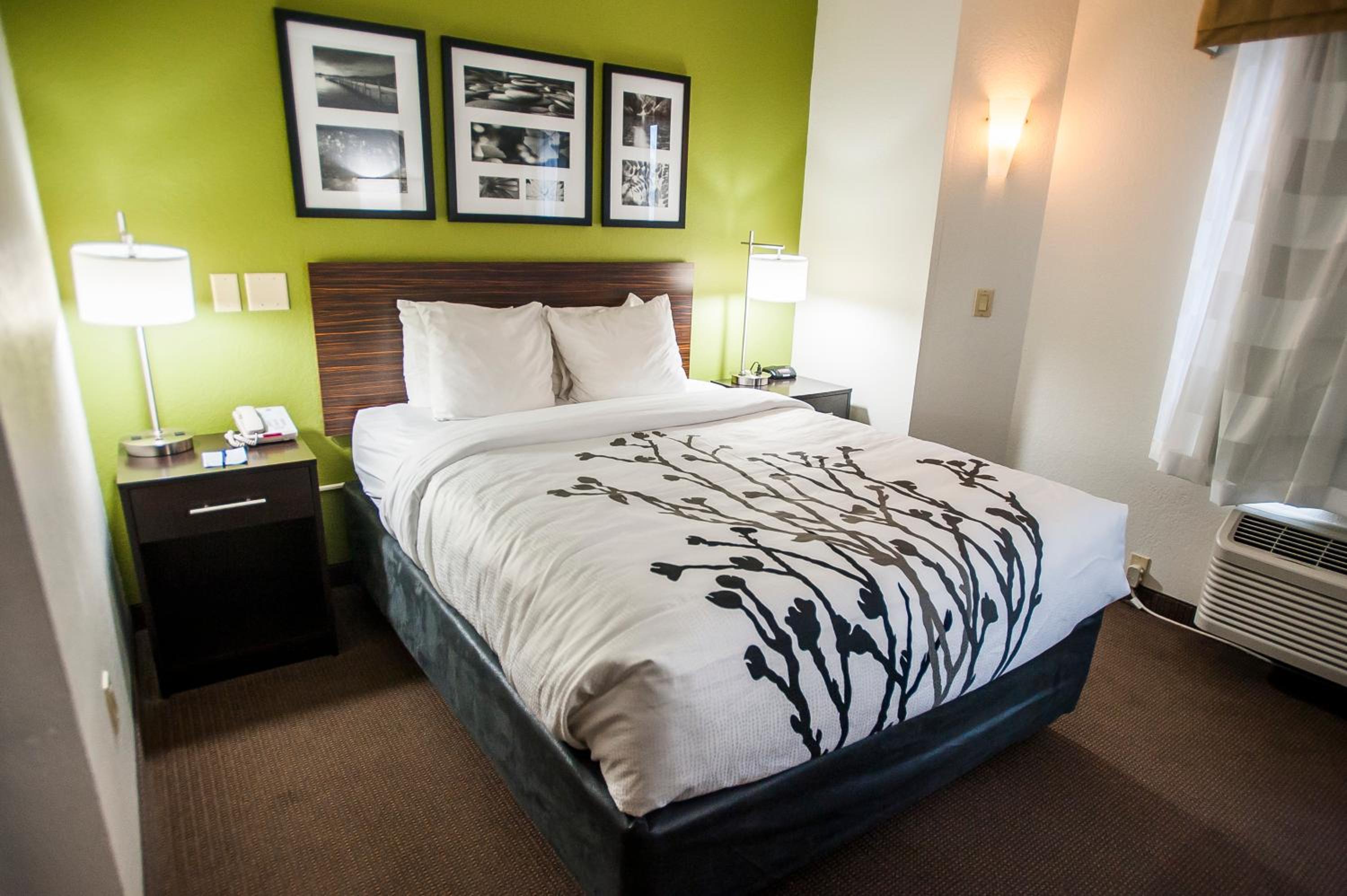 Queen Room - Disability Access/Non-Smoking - Photo 10