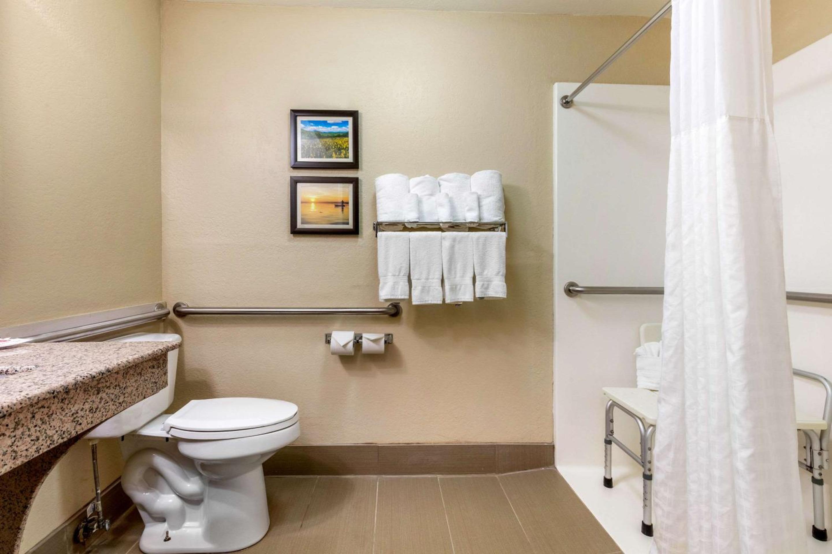 King Room with Roll-In Shower - Accessible/Non-Smoking