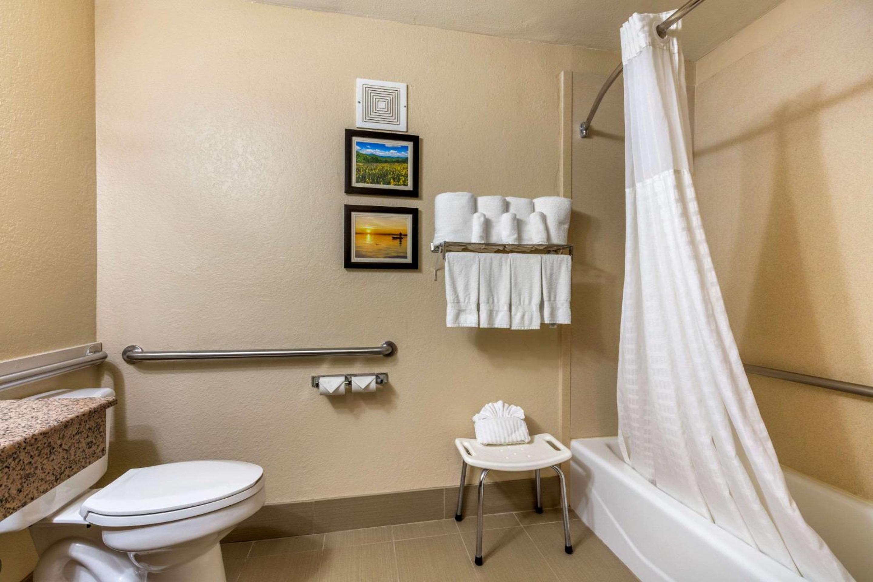 King Room with Accessible Tub - Accessible/Non-Smoking - Photo 7