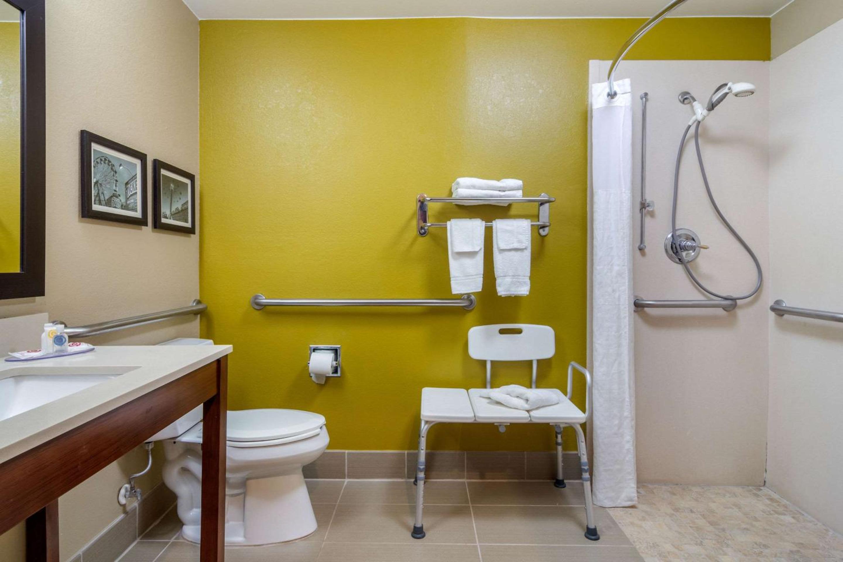 King Room with Roll-In Shower - Accessible/Non-Smoking - Photo 2