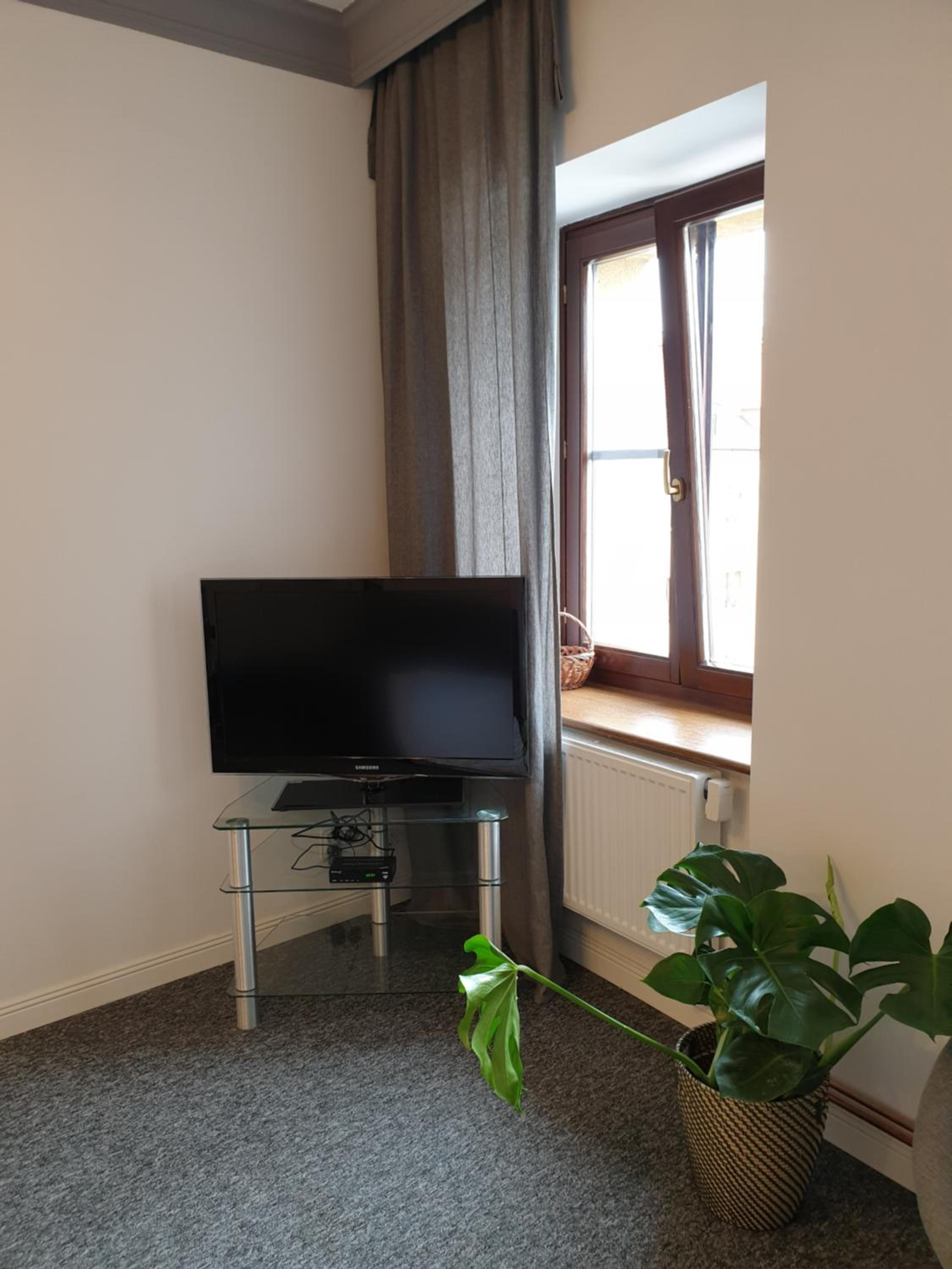 Apartment - Photo 4
