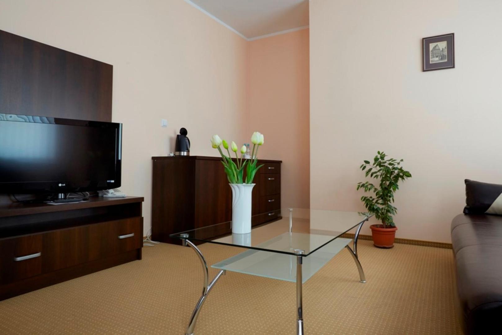 One-Bedroom Apartment - Photo 9