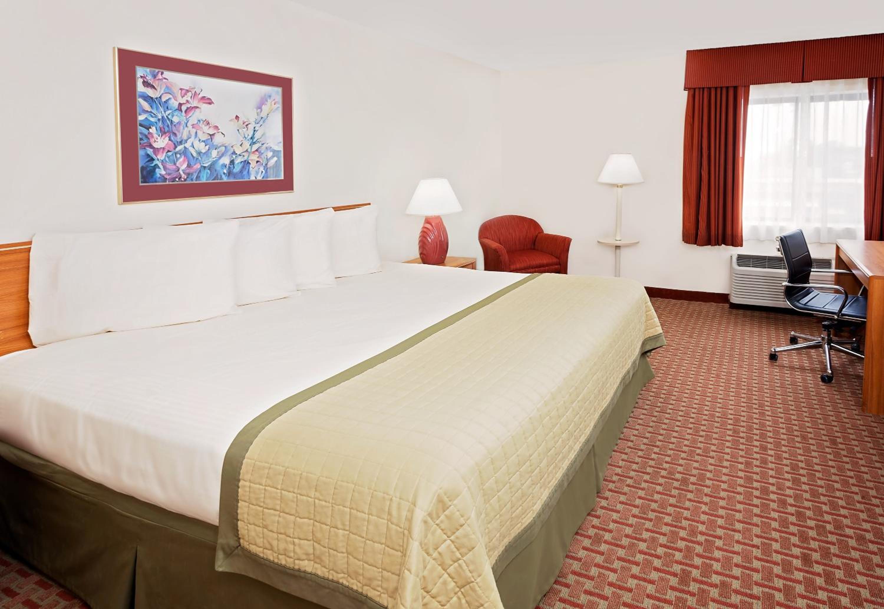 Deluxe King Suite - Photo 1