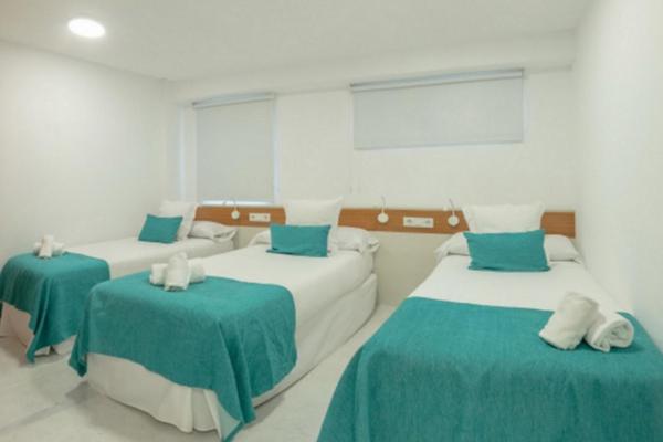 Deluxe Apartment (6 Adults)	 - Photo 4