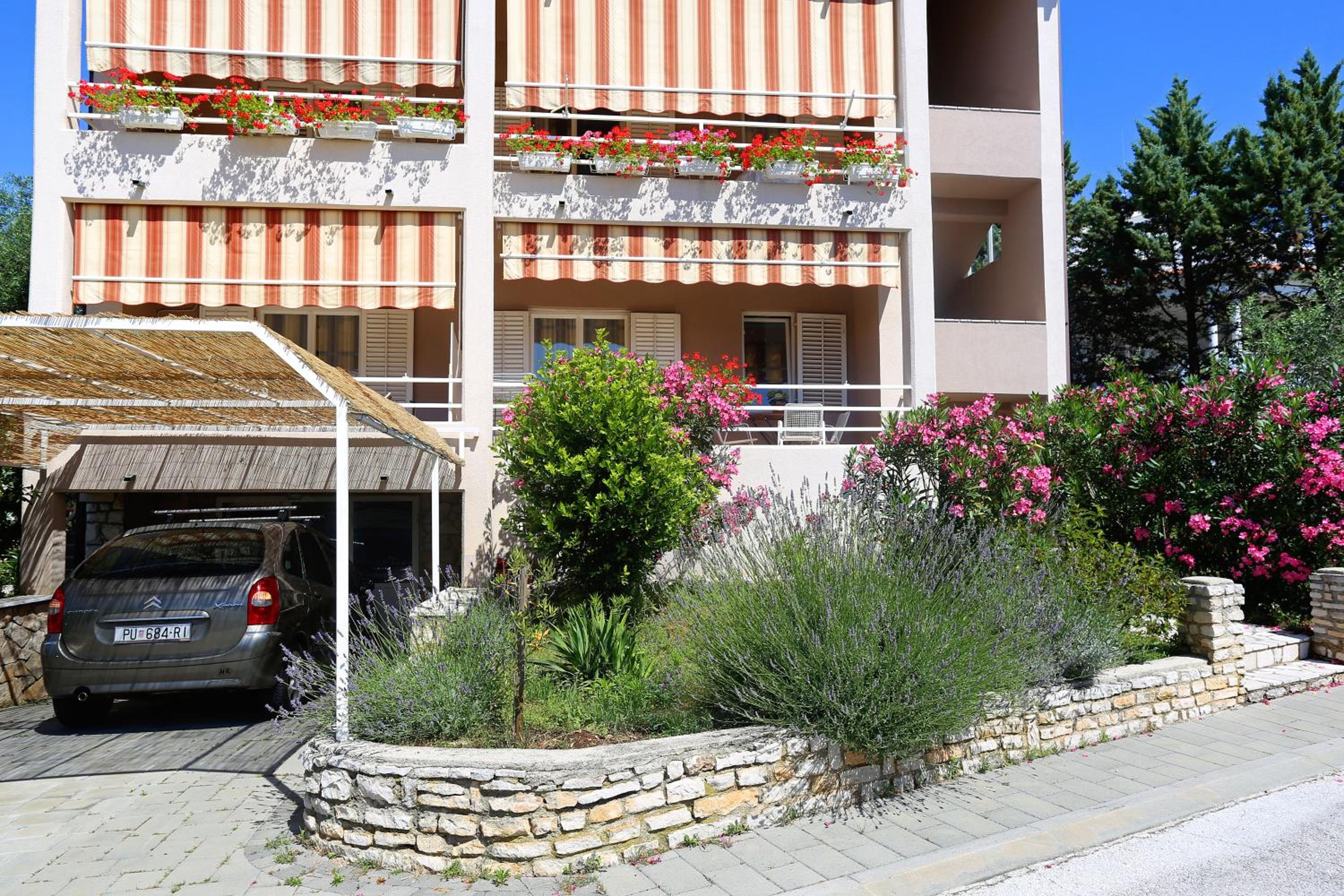 Apartment with Balcony photo 2