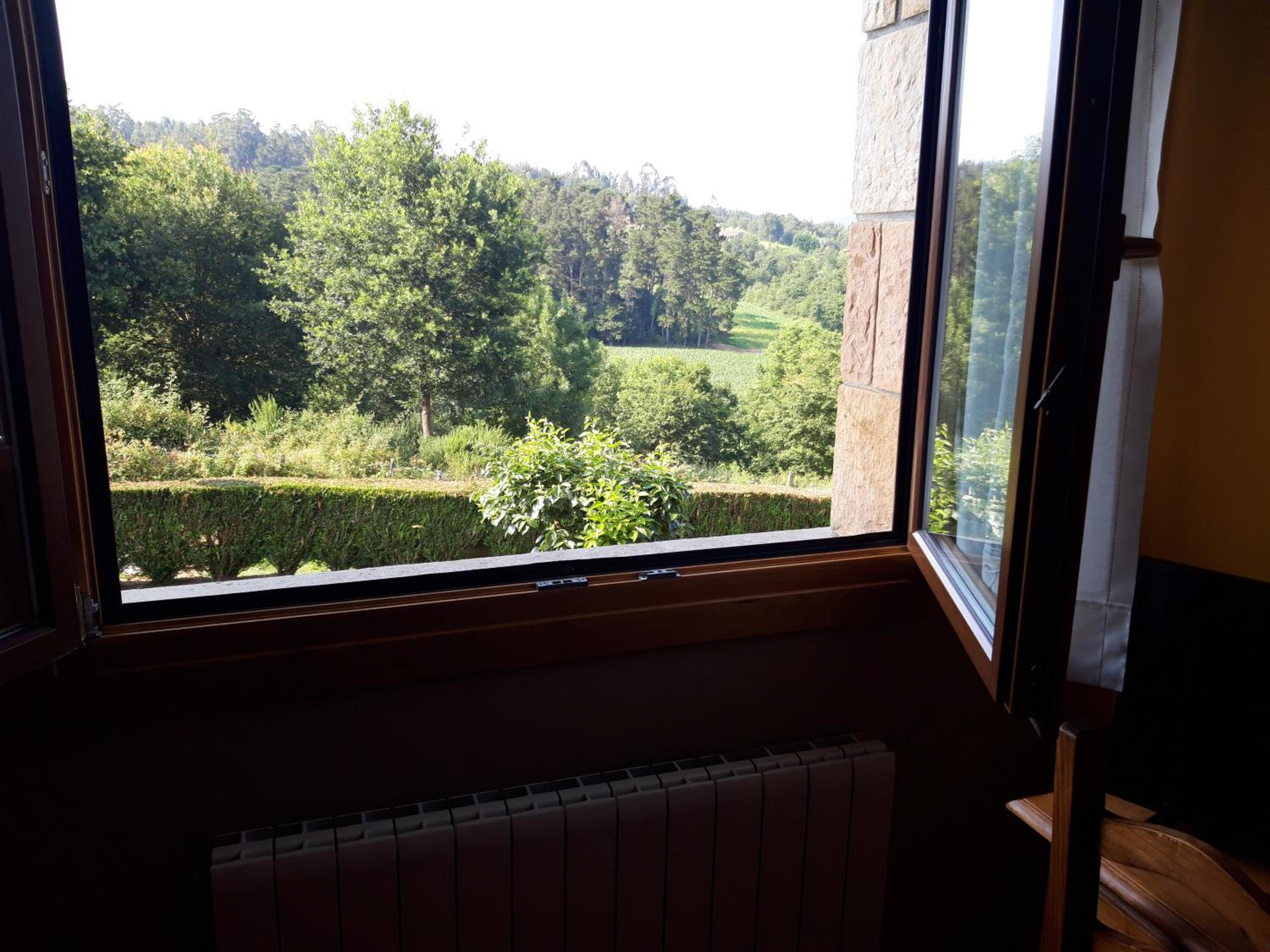 Deluxe Double or Twin Room with Pool View photo 2