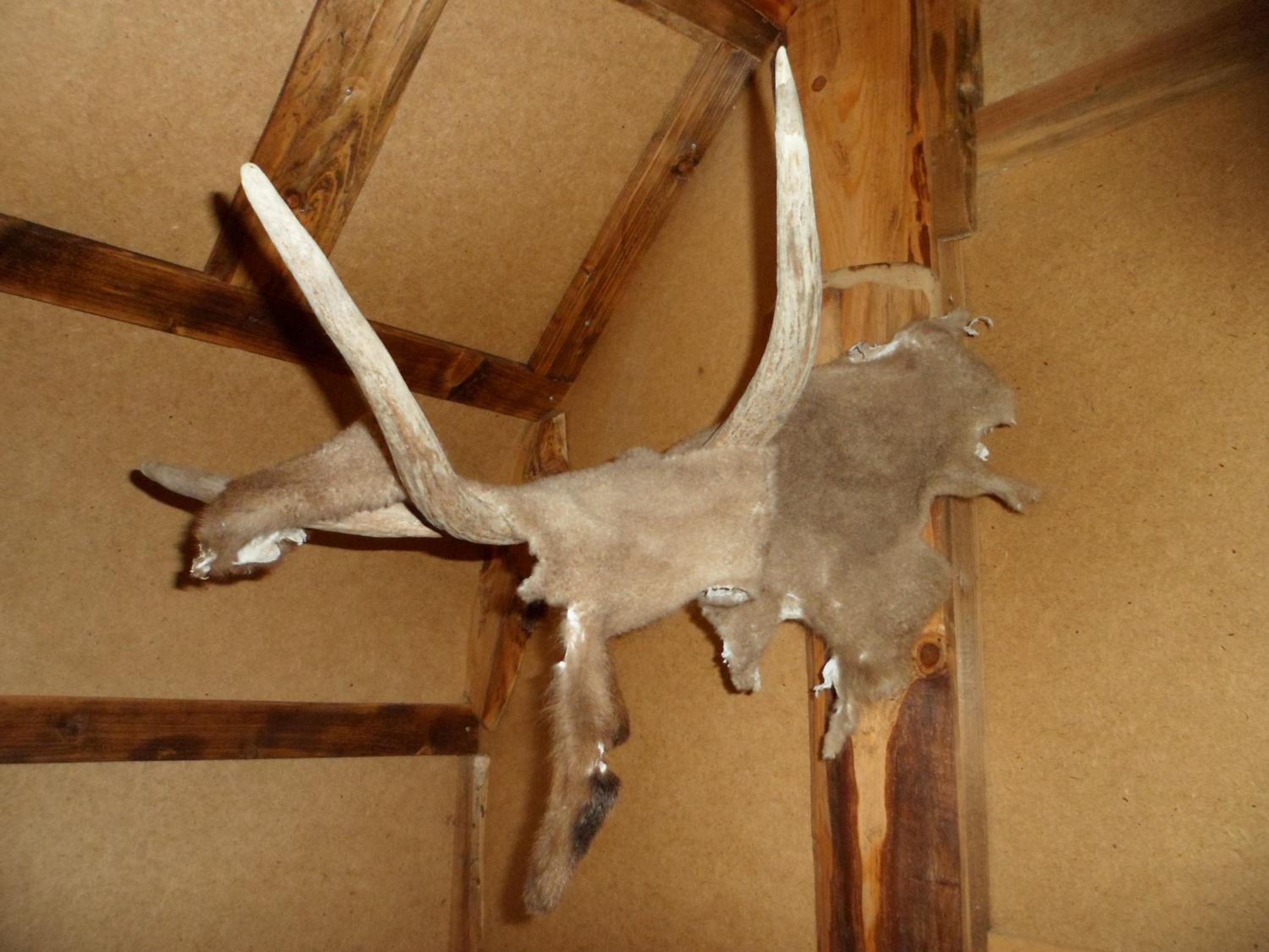 Twin Room - Photo 5