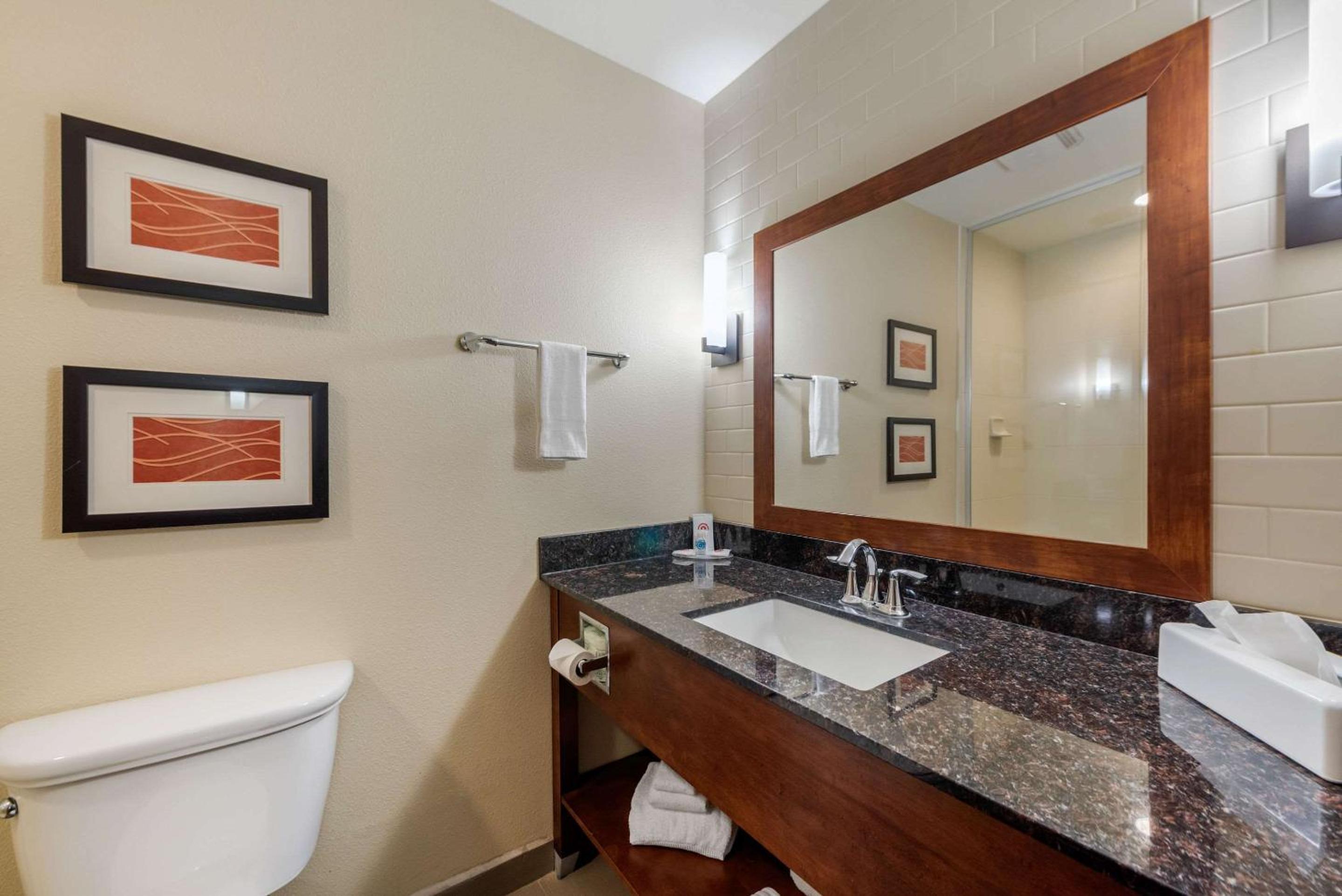 King Suite - Non-Smoking - Photo 5