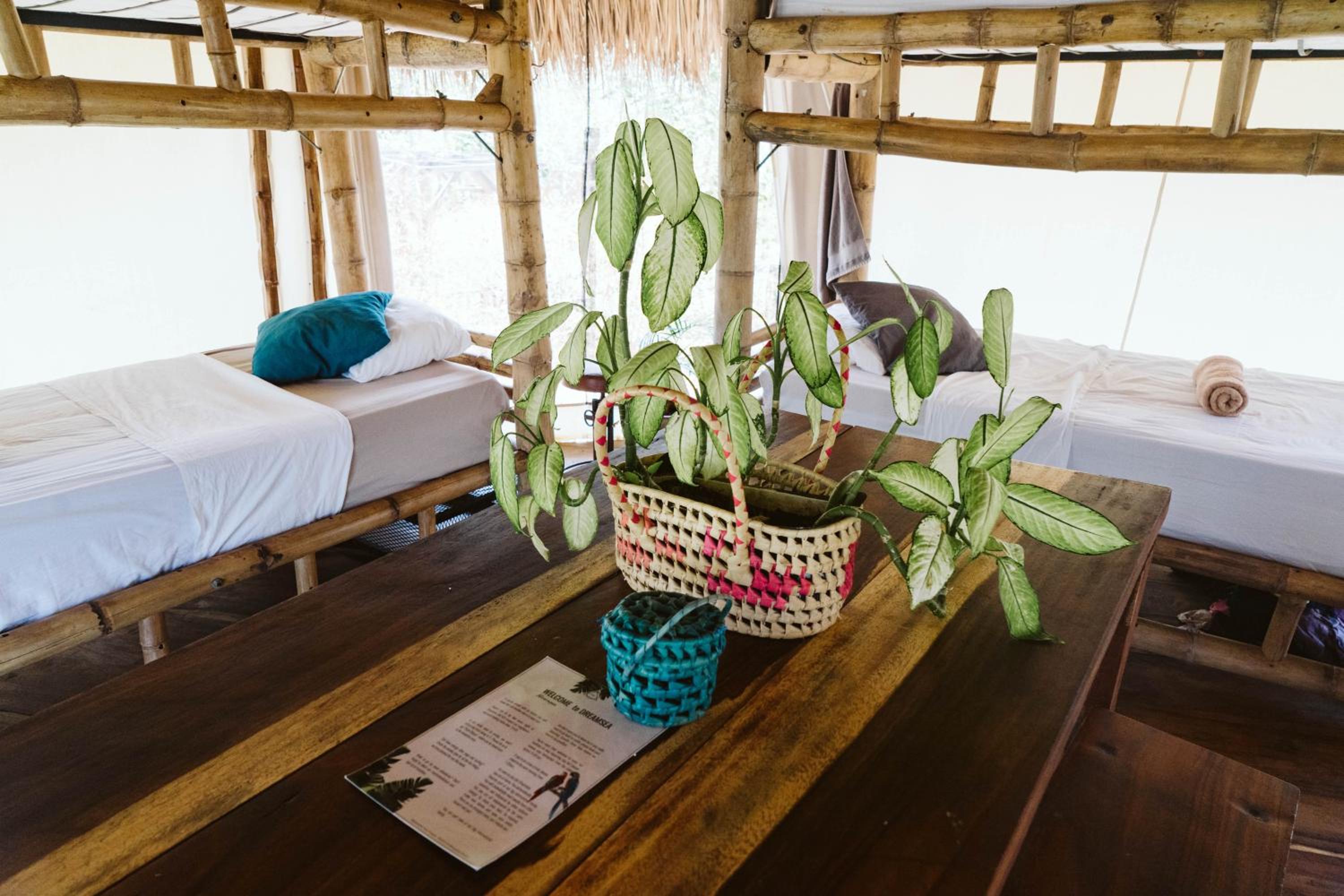 Bed in 6-Bed Mixed Dormitory Room photo 2