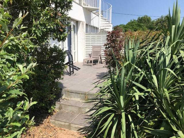 Studio with Terrace photo 3