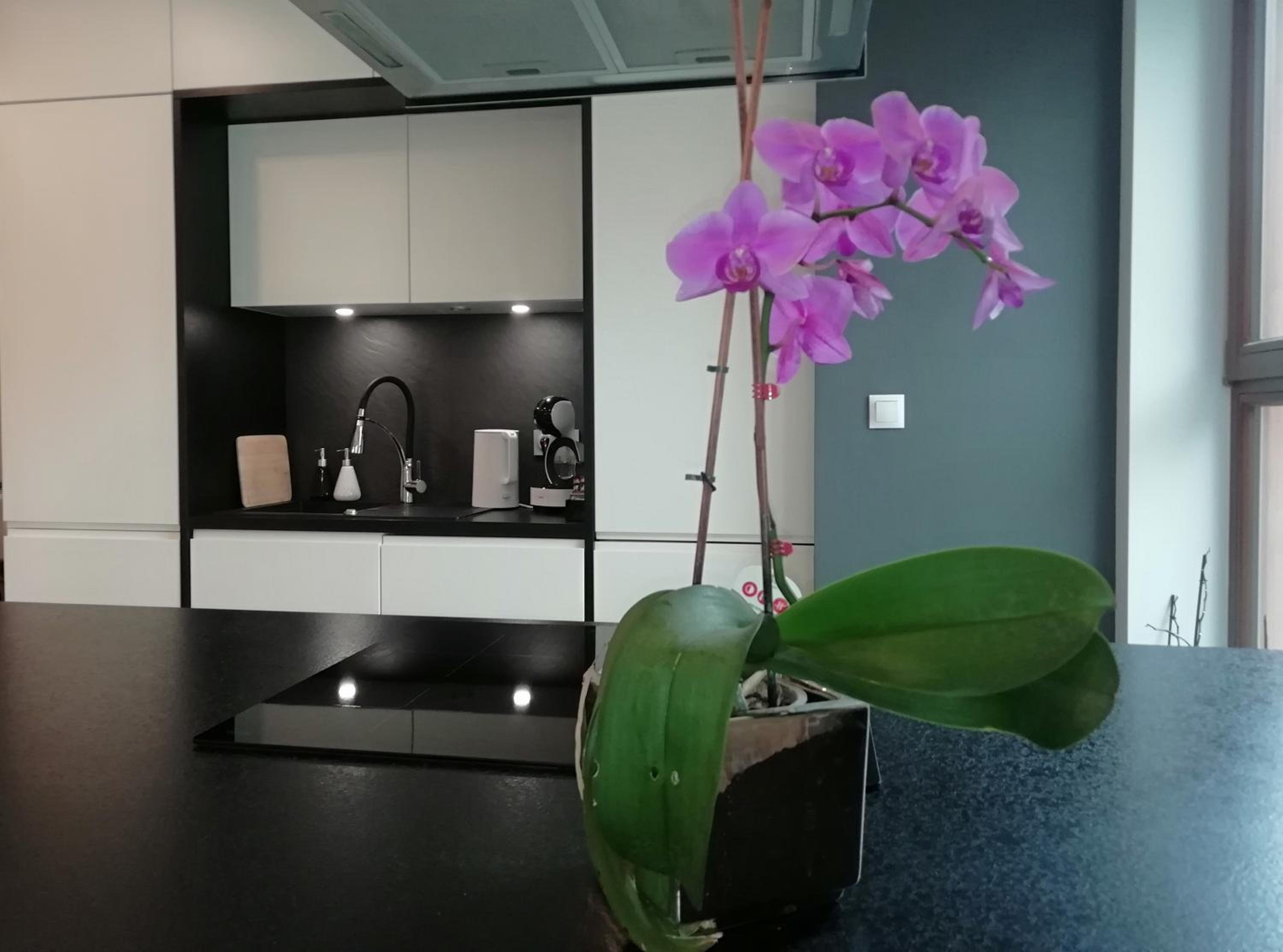 One-Bedroom Apartment - Photo 35