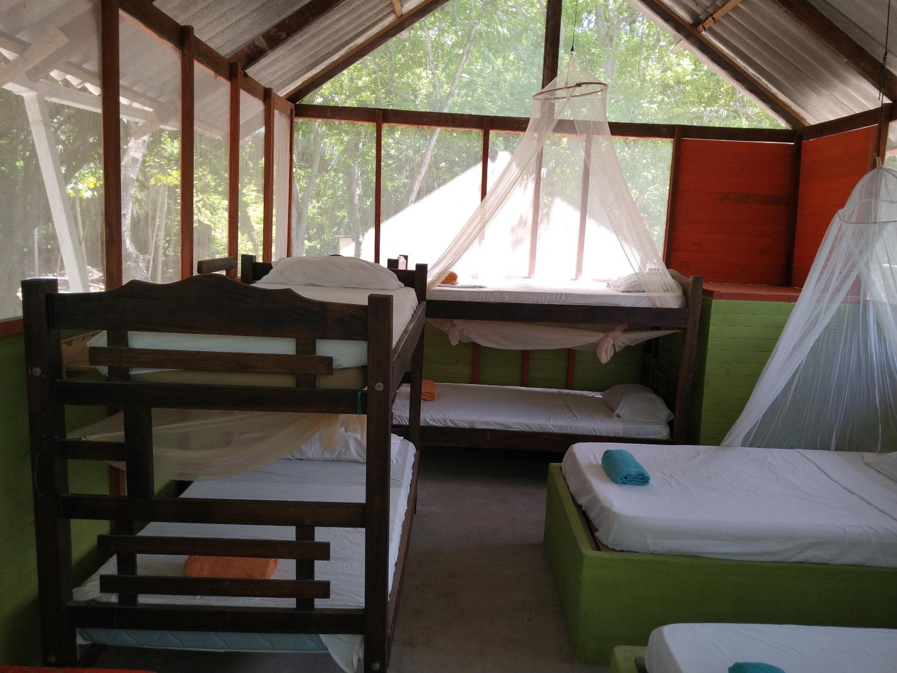 Single Bed in Dormitory Room photo 2
