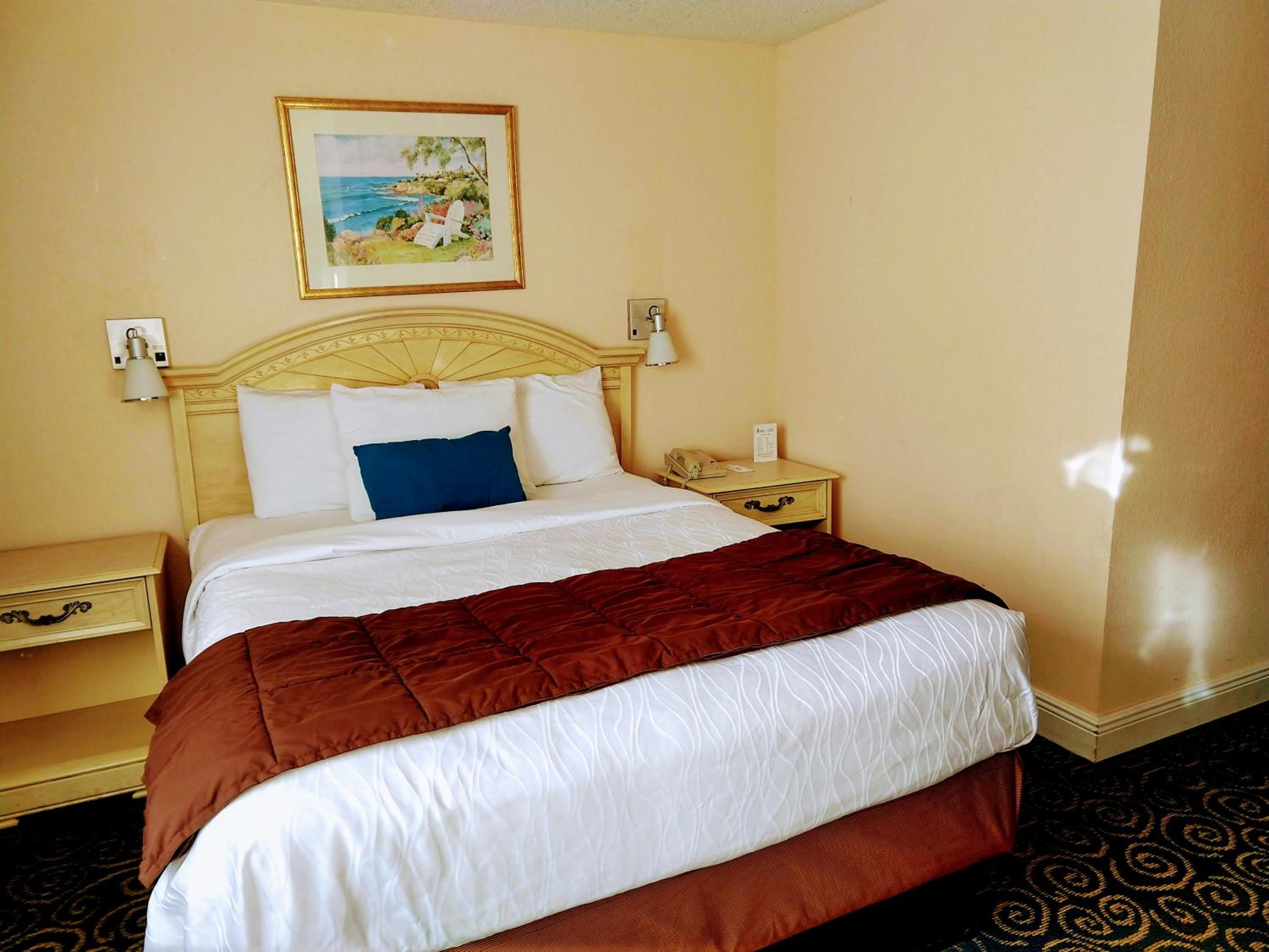 Queen Room with sofa and Stovetop photo 3