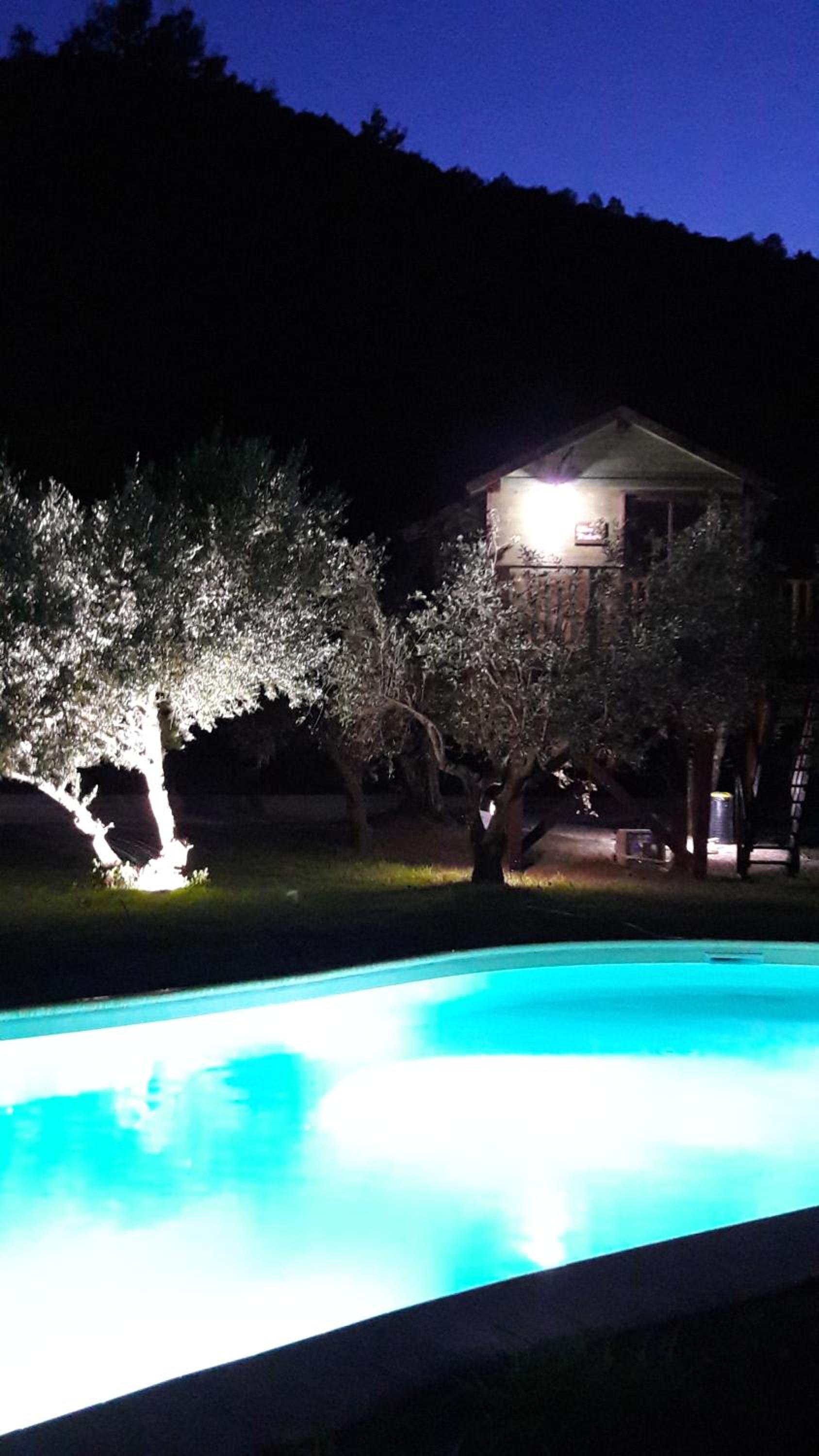 Olive Tree House photo 3