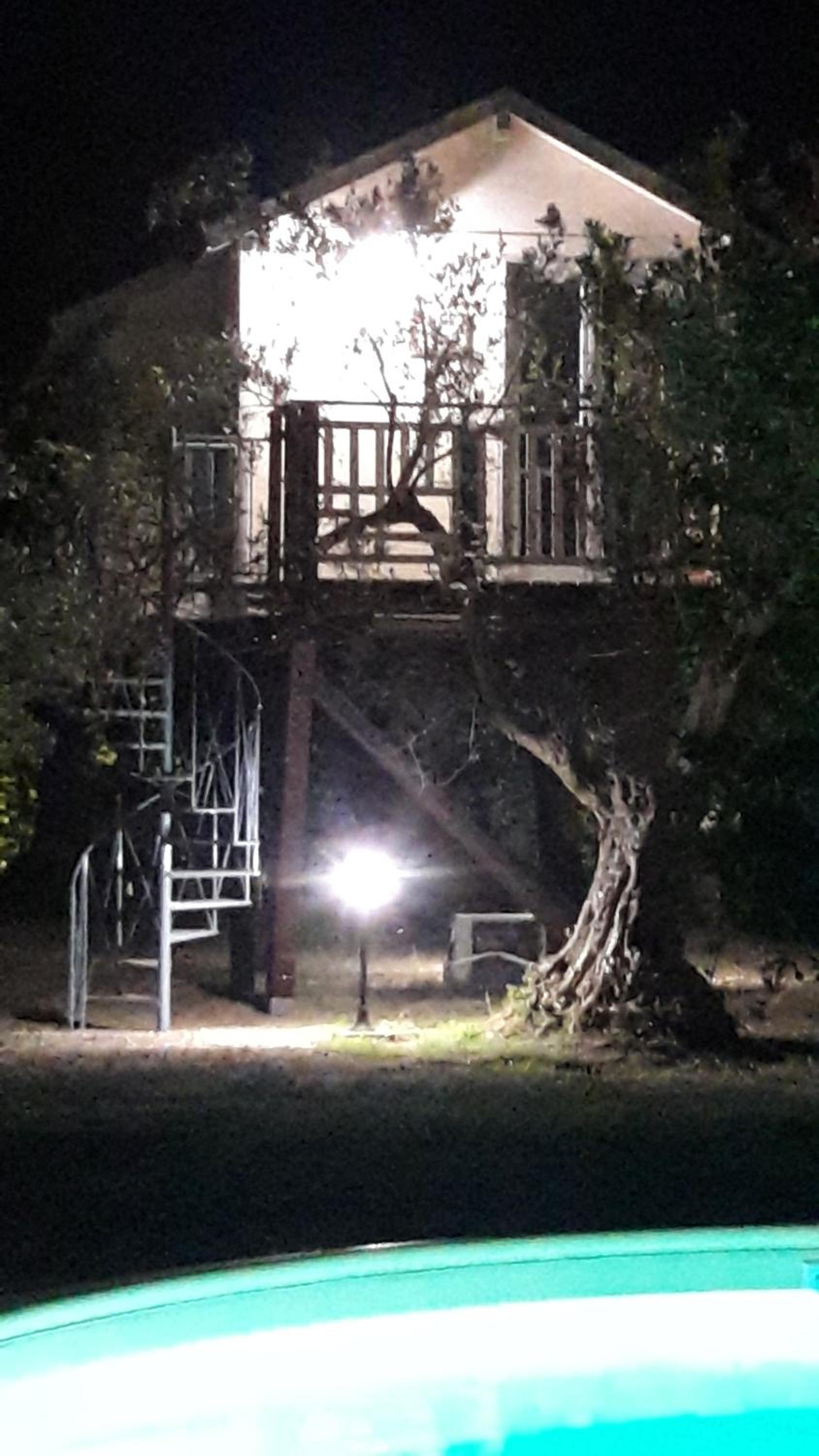 Shabby Tree House photo 3