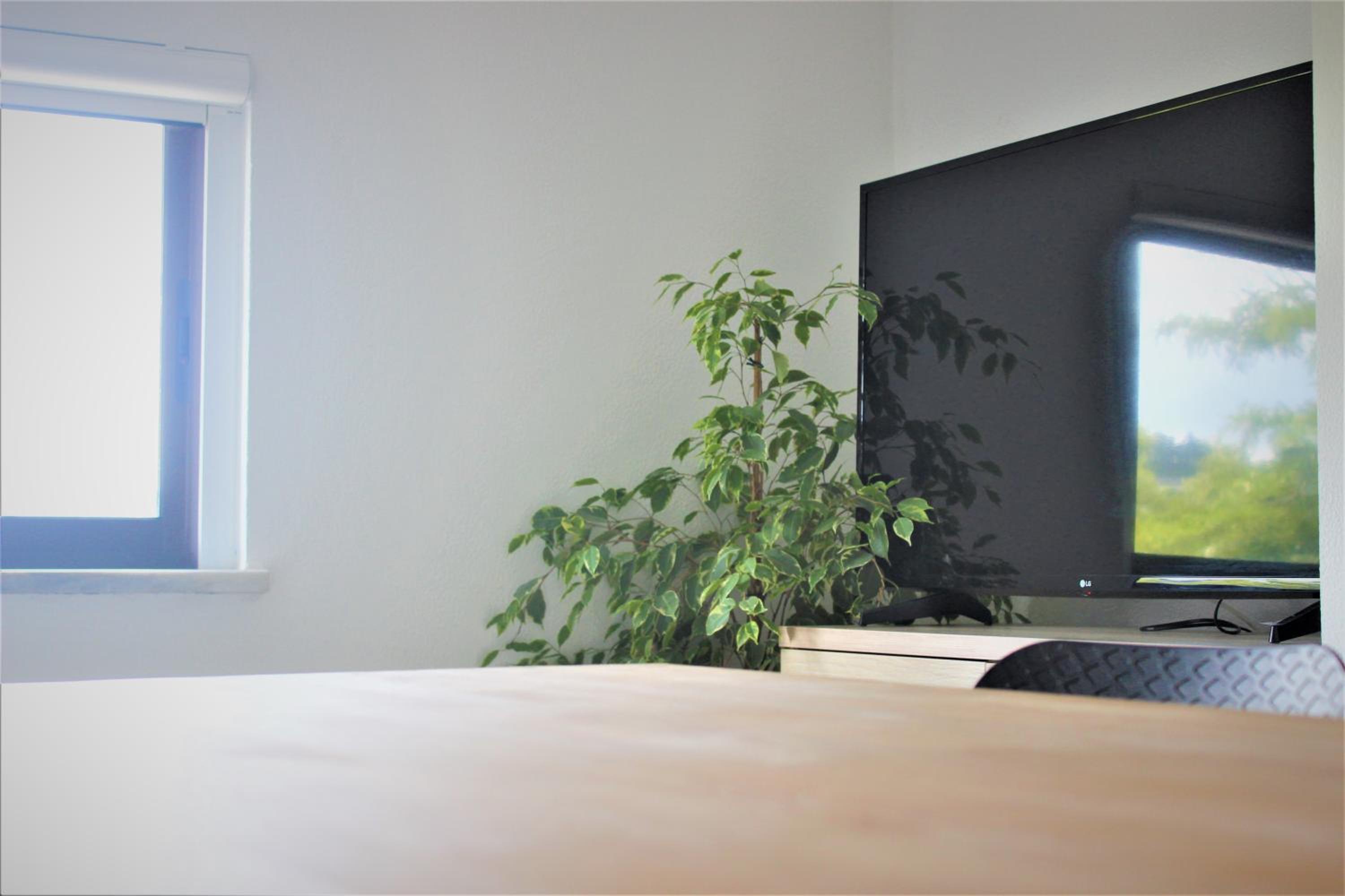 Studio - Photo 4