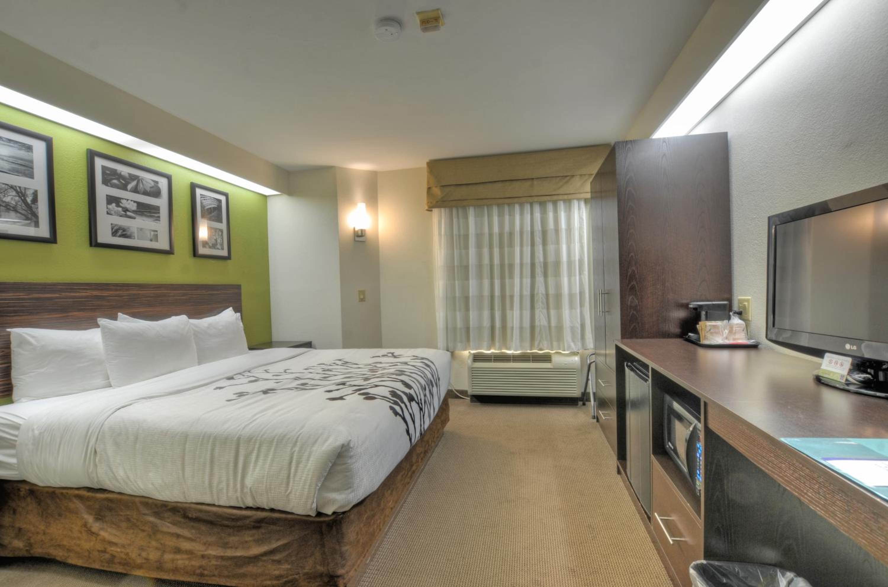 King Room - Photo 10