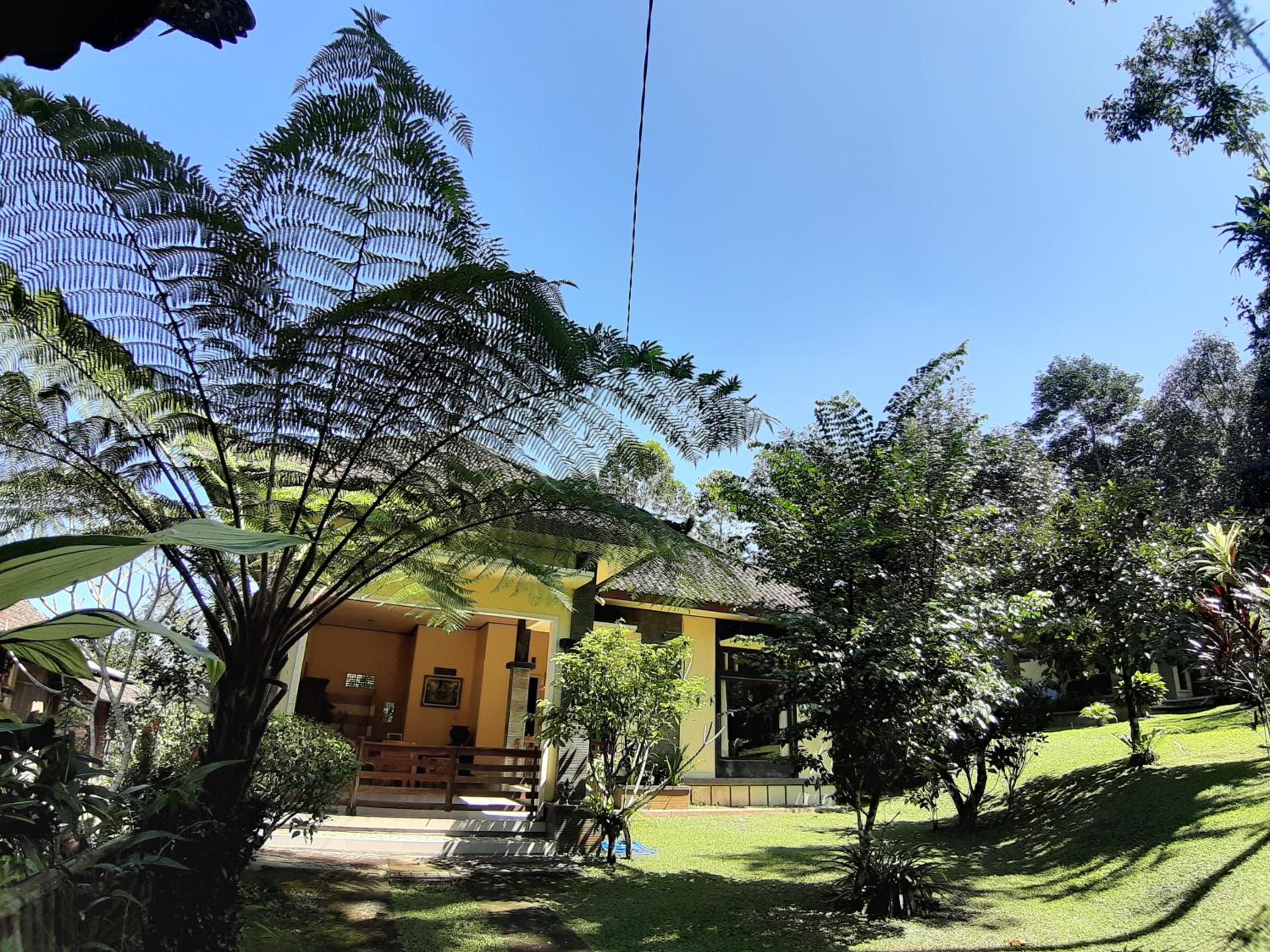 Standard Bungalow - Photo 6