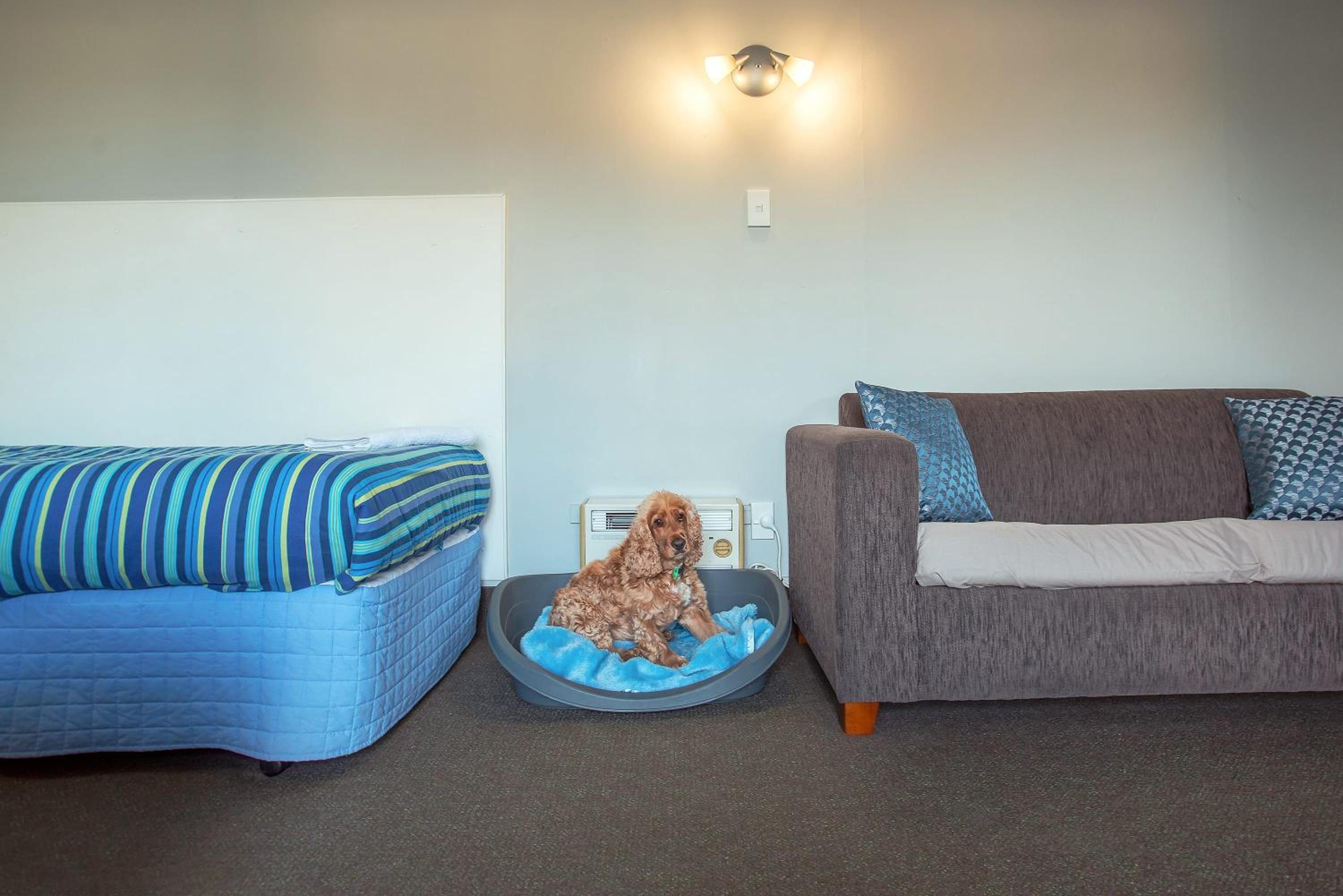Budget Double Room - Photo 1