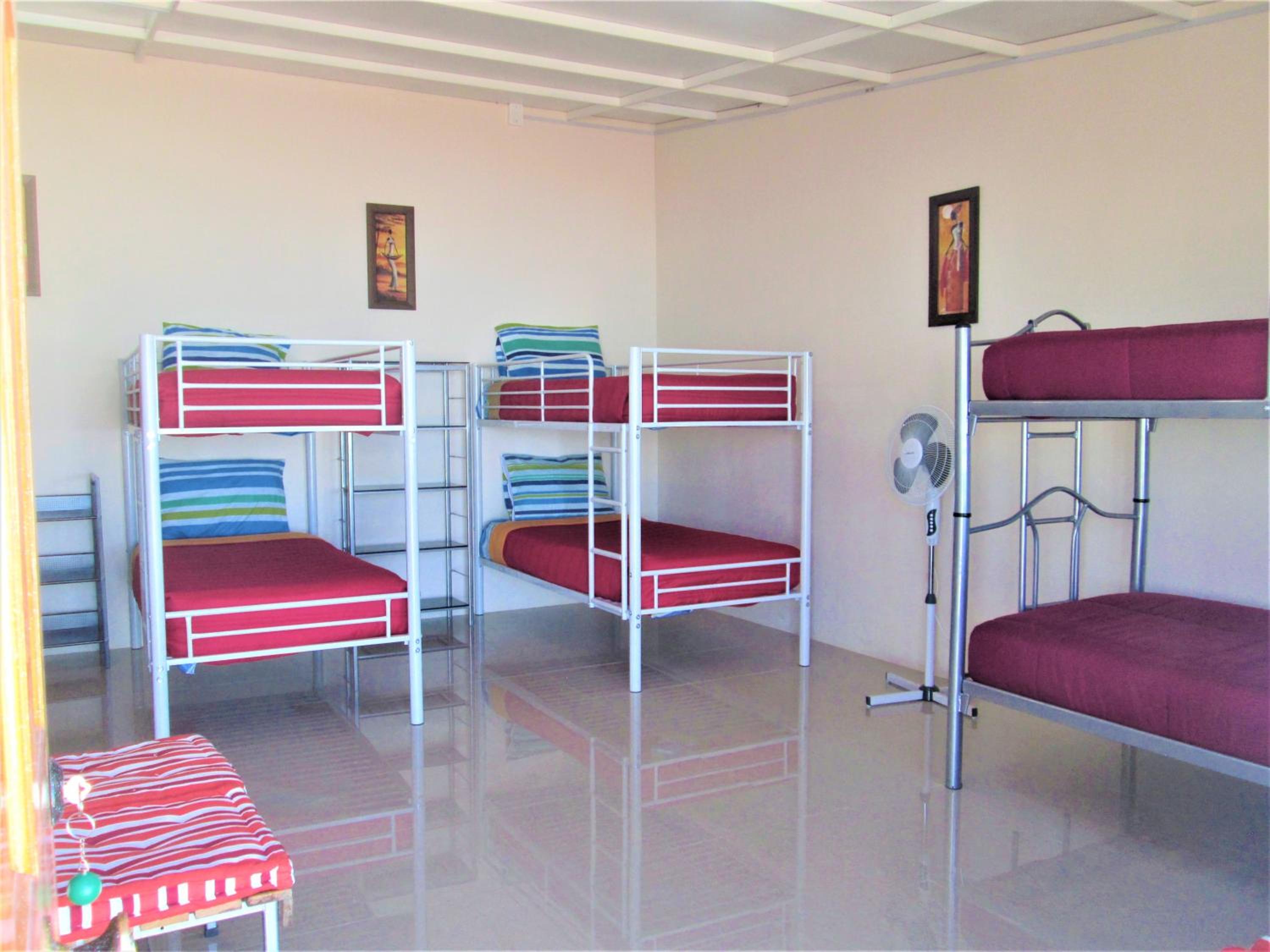 Bed in 8-Bed Mixed Dormitory Room photo 1