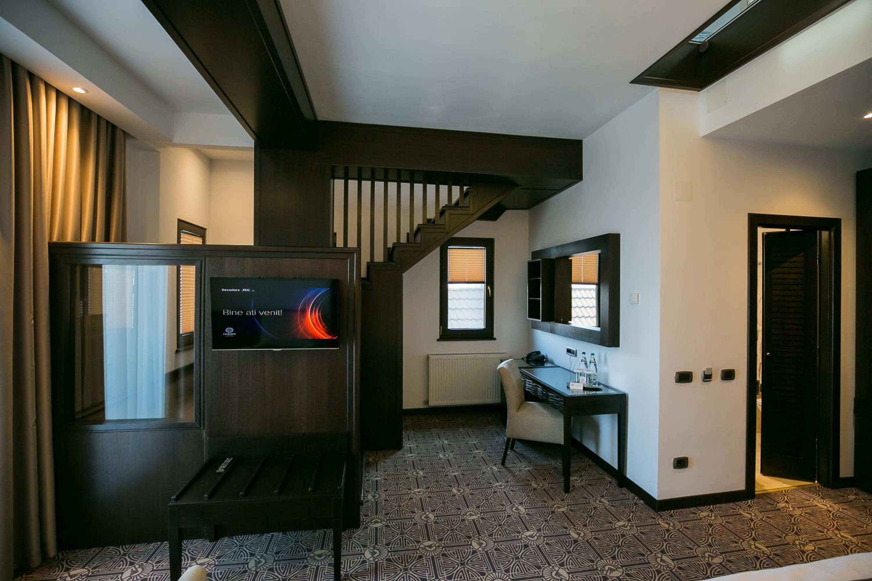 Suite - Photo 4