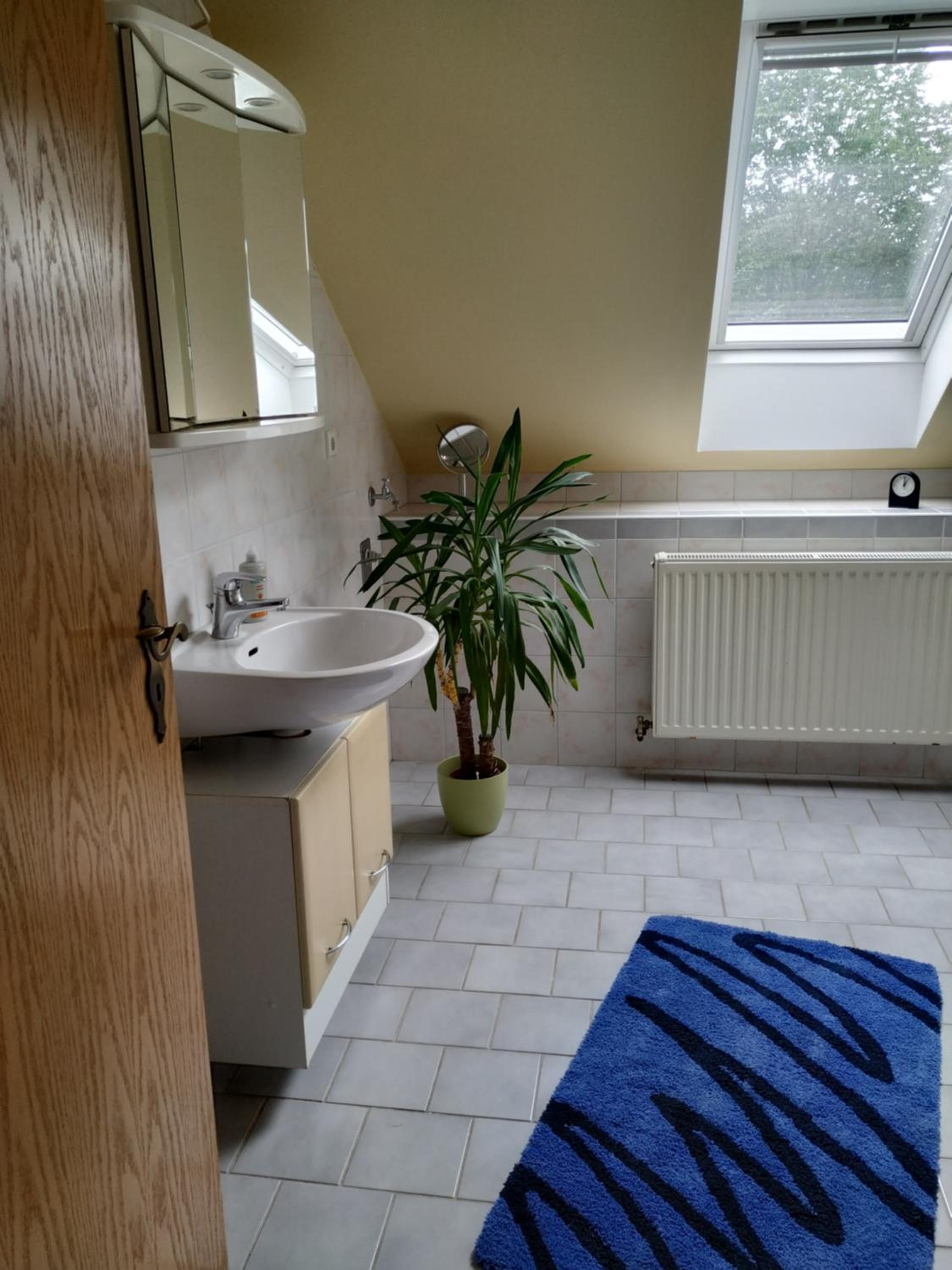 Apartment - Photo 13