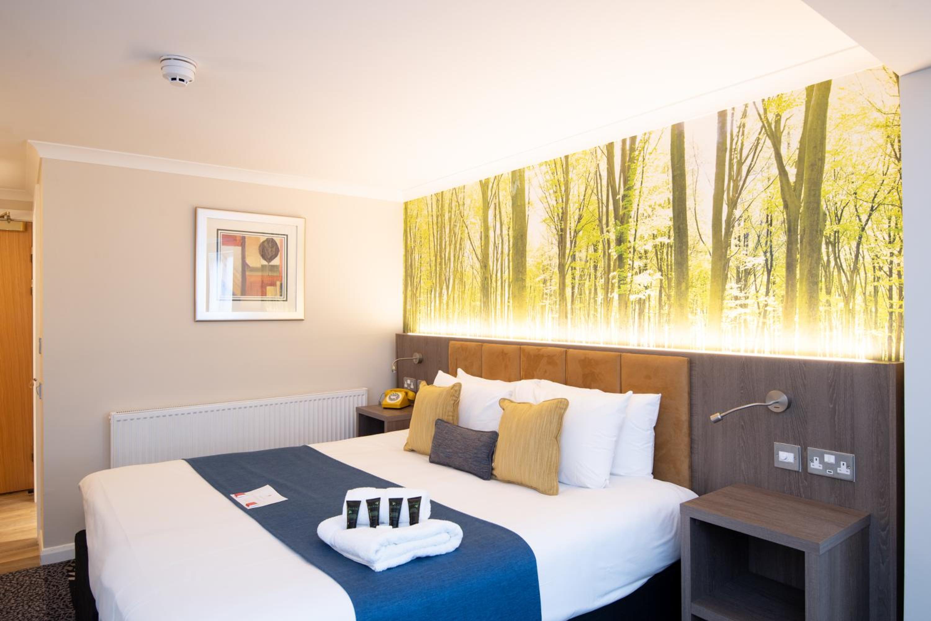 Executive Double Room - Photo 1