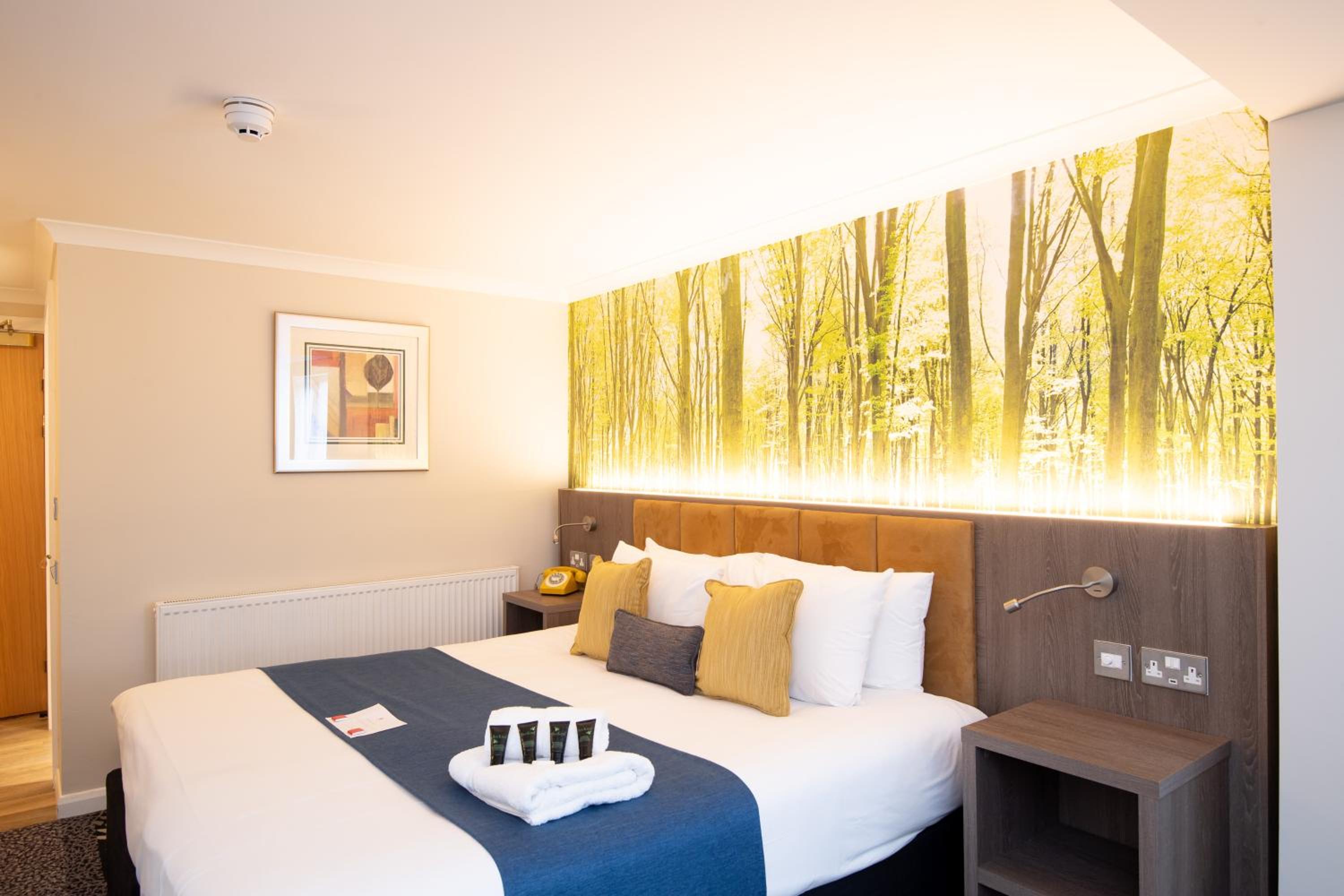 Executive Double Room - Photo 14