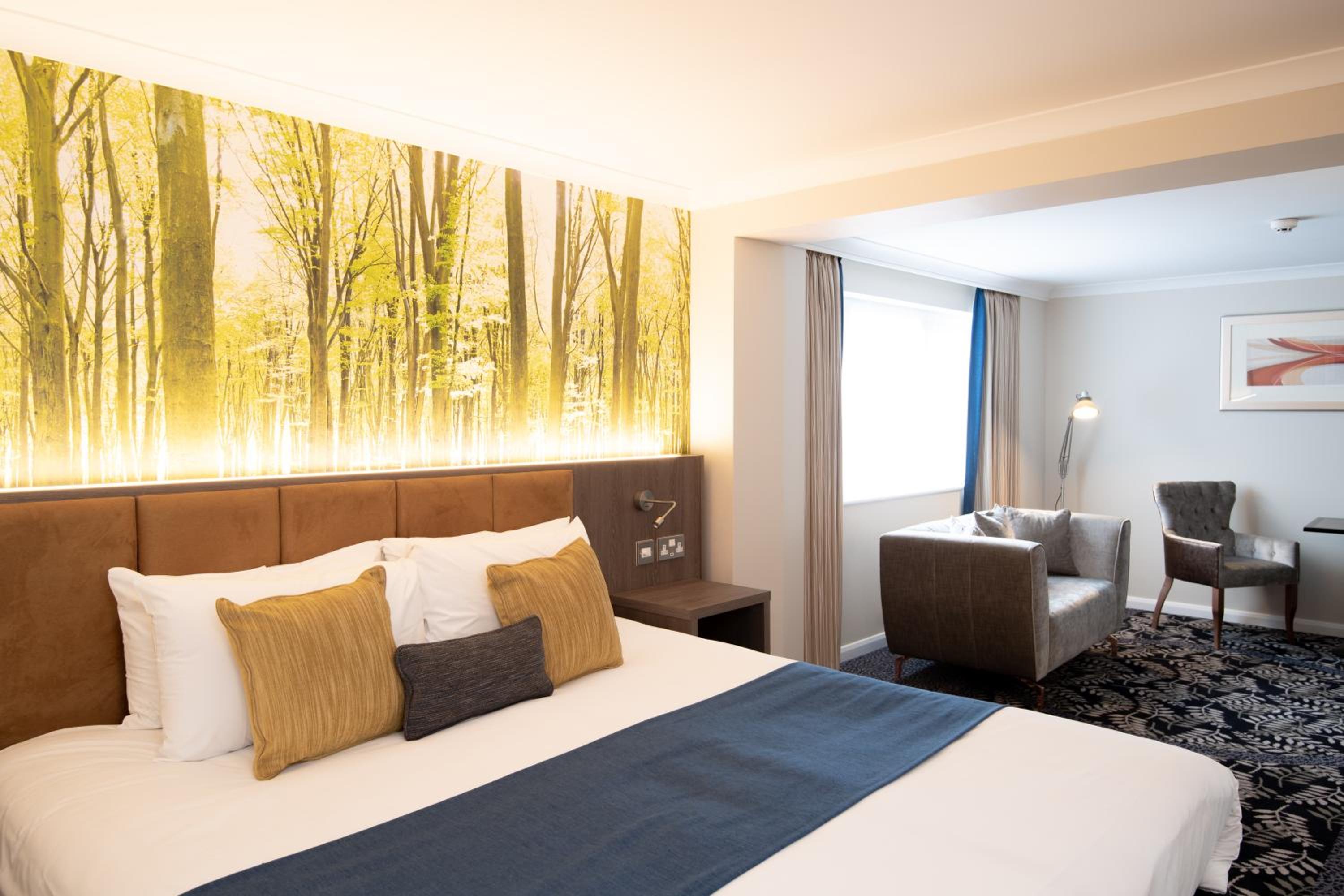 Suite - Photo 2