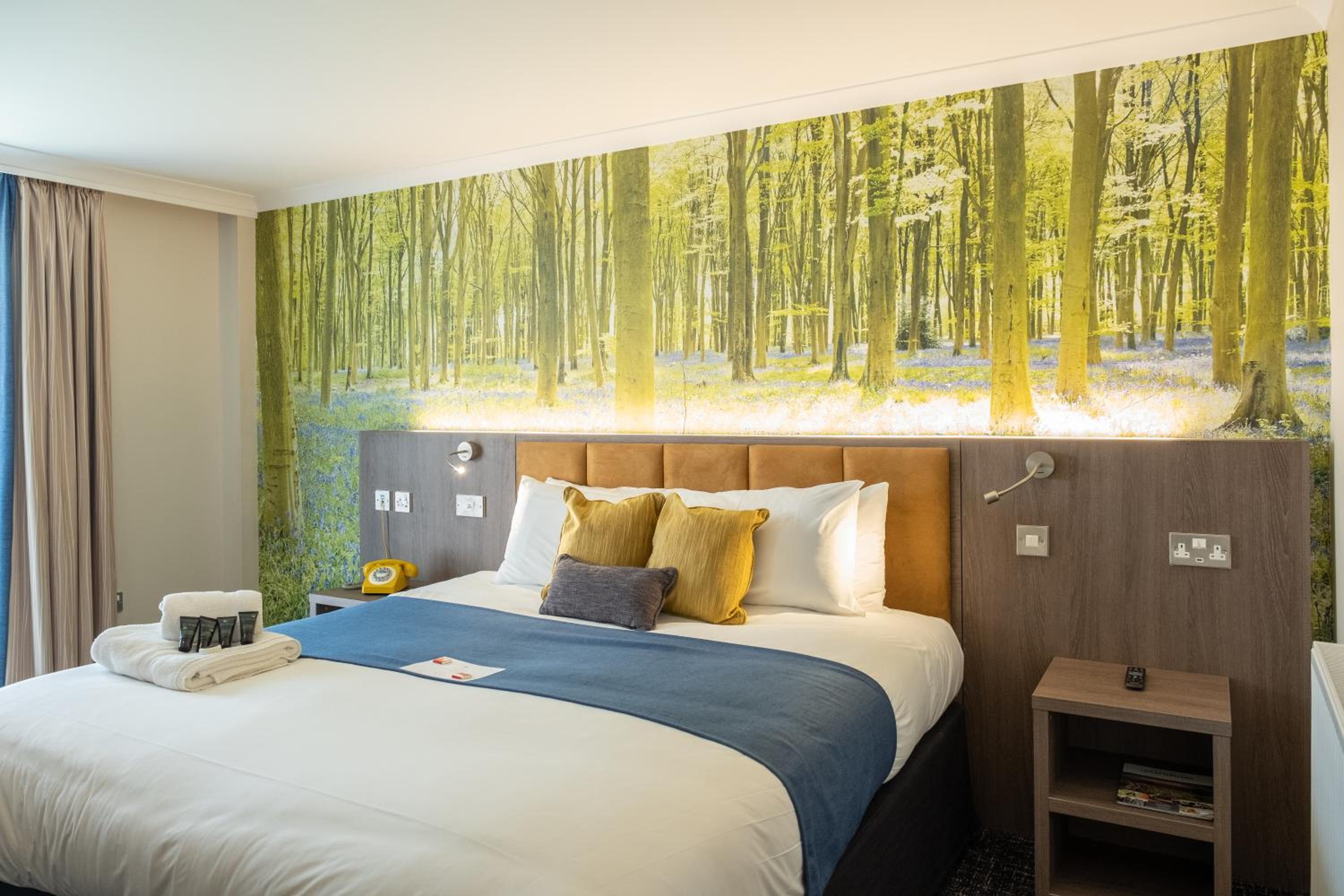 Executive Double Room - Photo 3