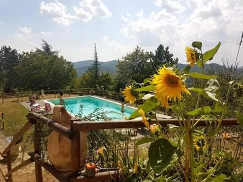 Apartment with Pool View  photo 1