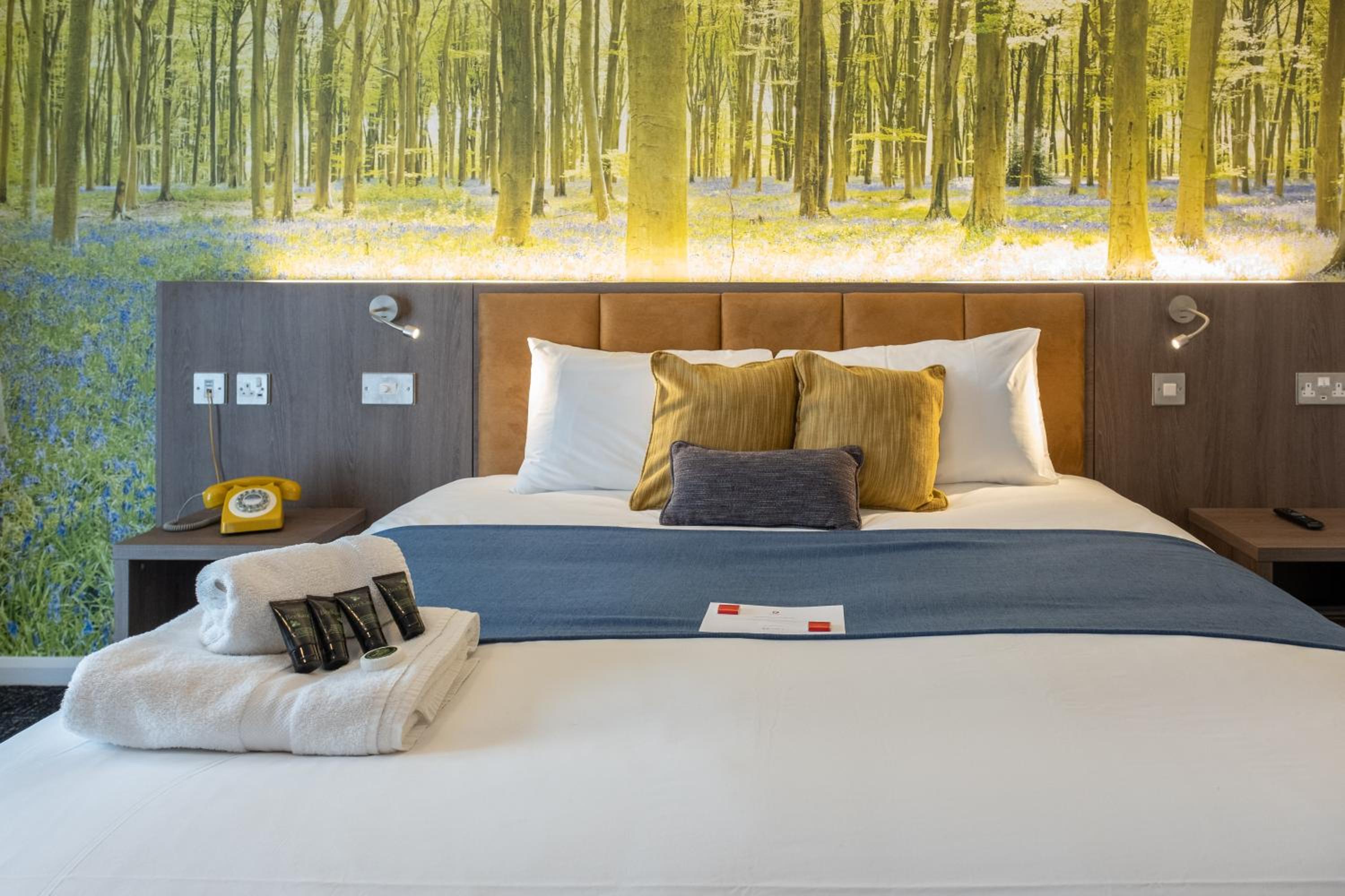 Executive Double Room - Photo 7