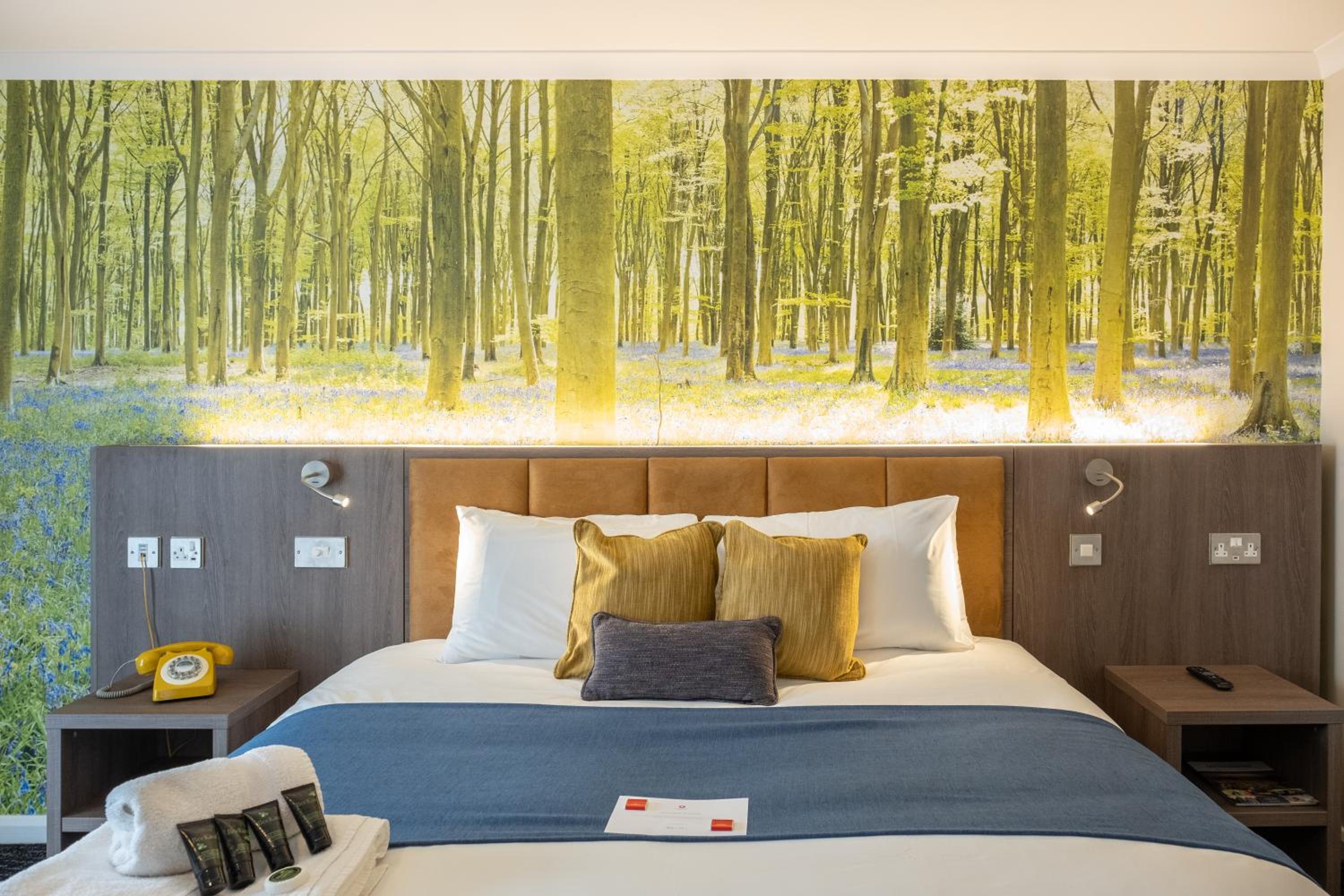 Executive Double Room - Photo 8