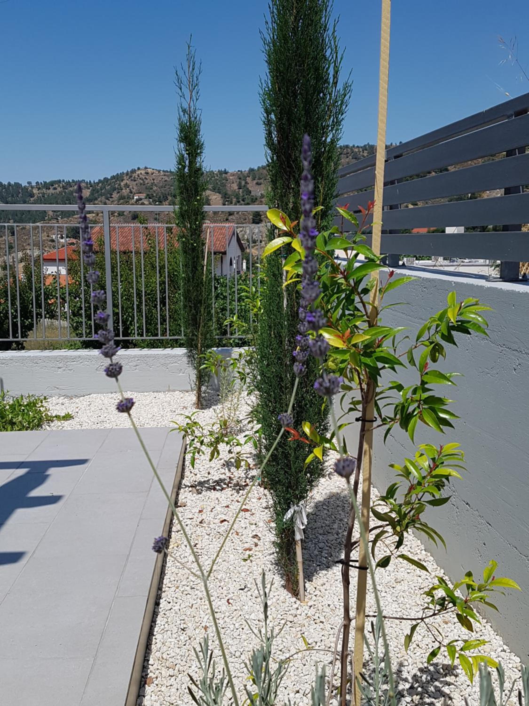 Apartment with Terrace - Photo 15
