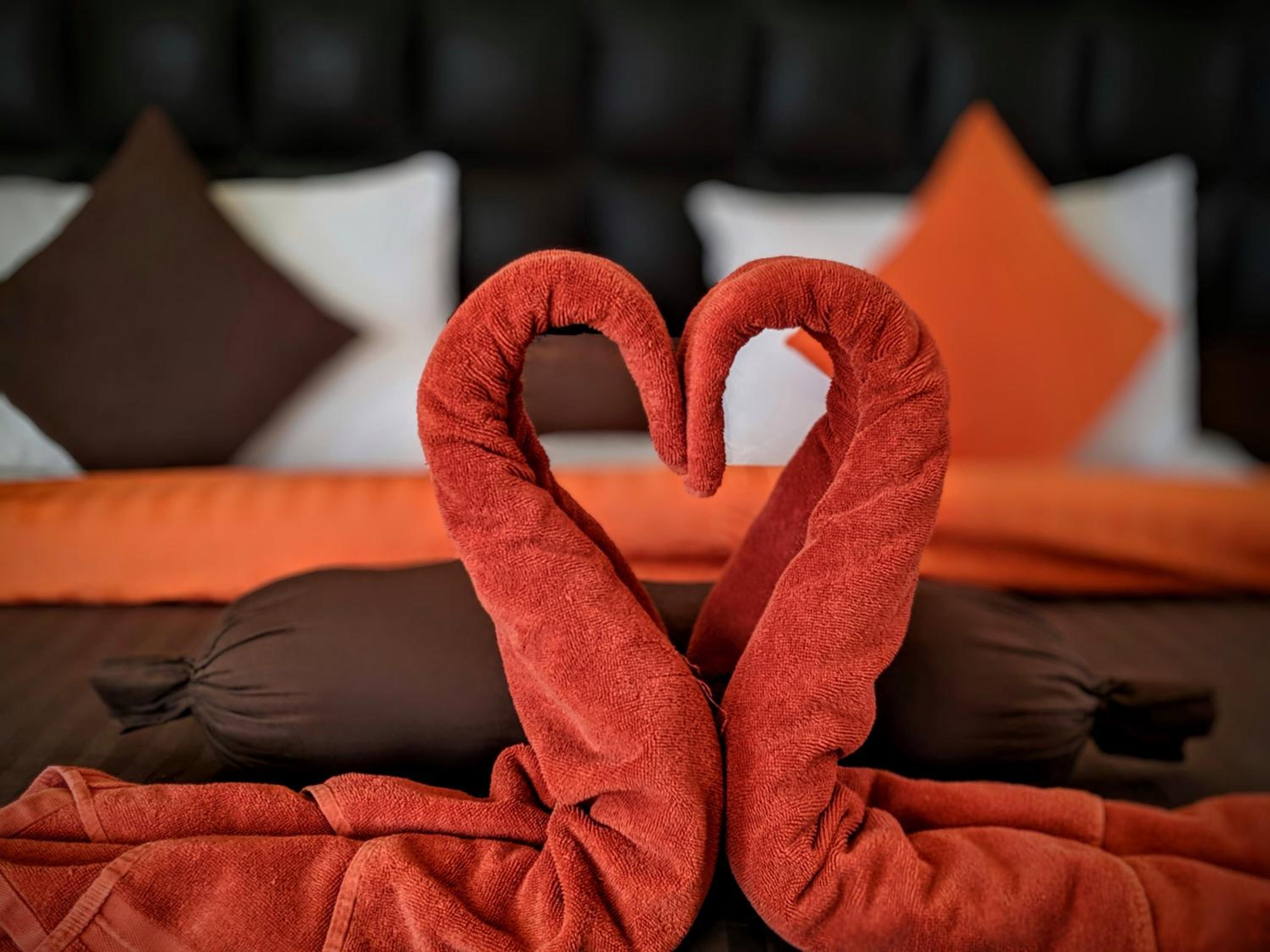 Deluxe Double or Twin Room photo 3