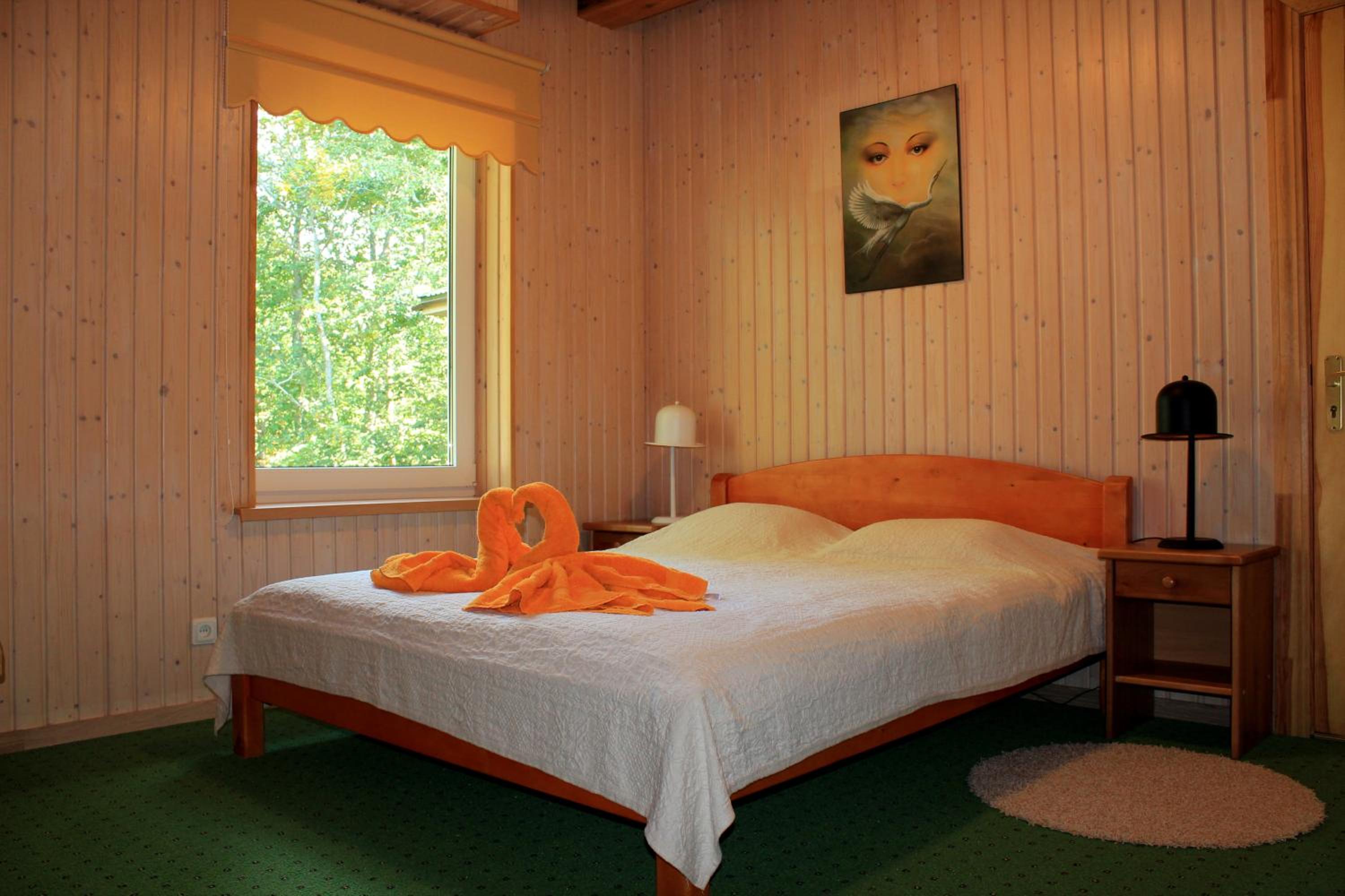 Suite - Photo 4