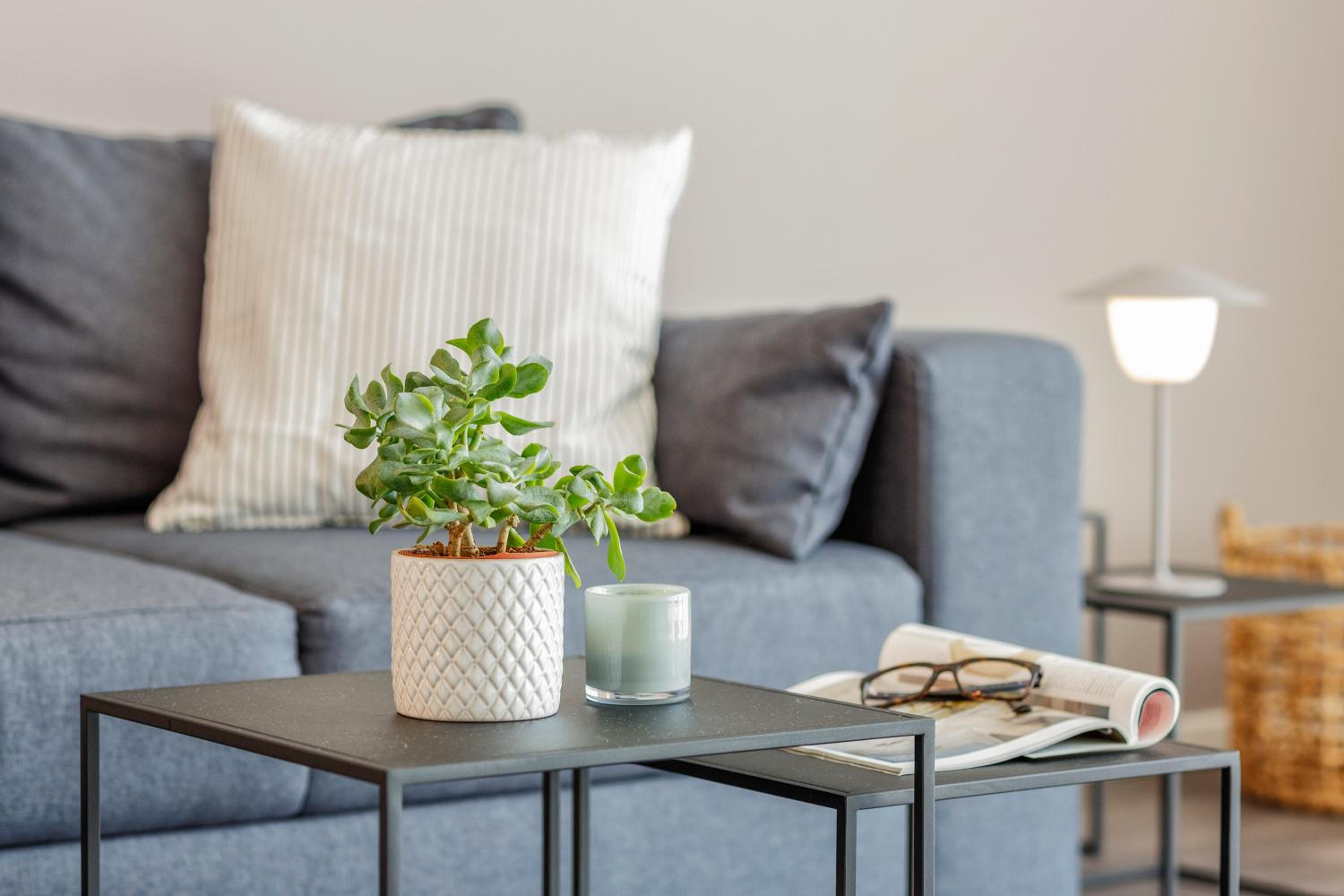 apartment cozy gray 'comfort - double' - Photo 5