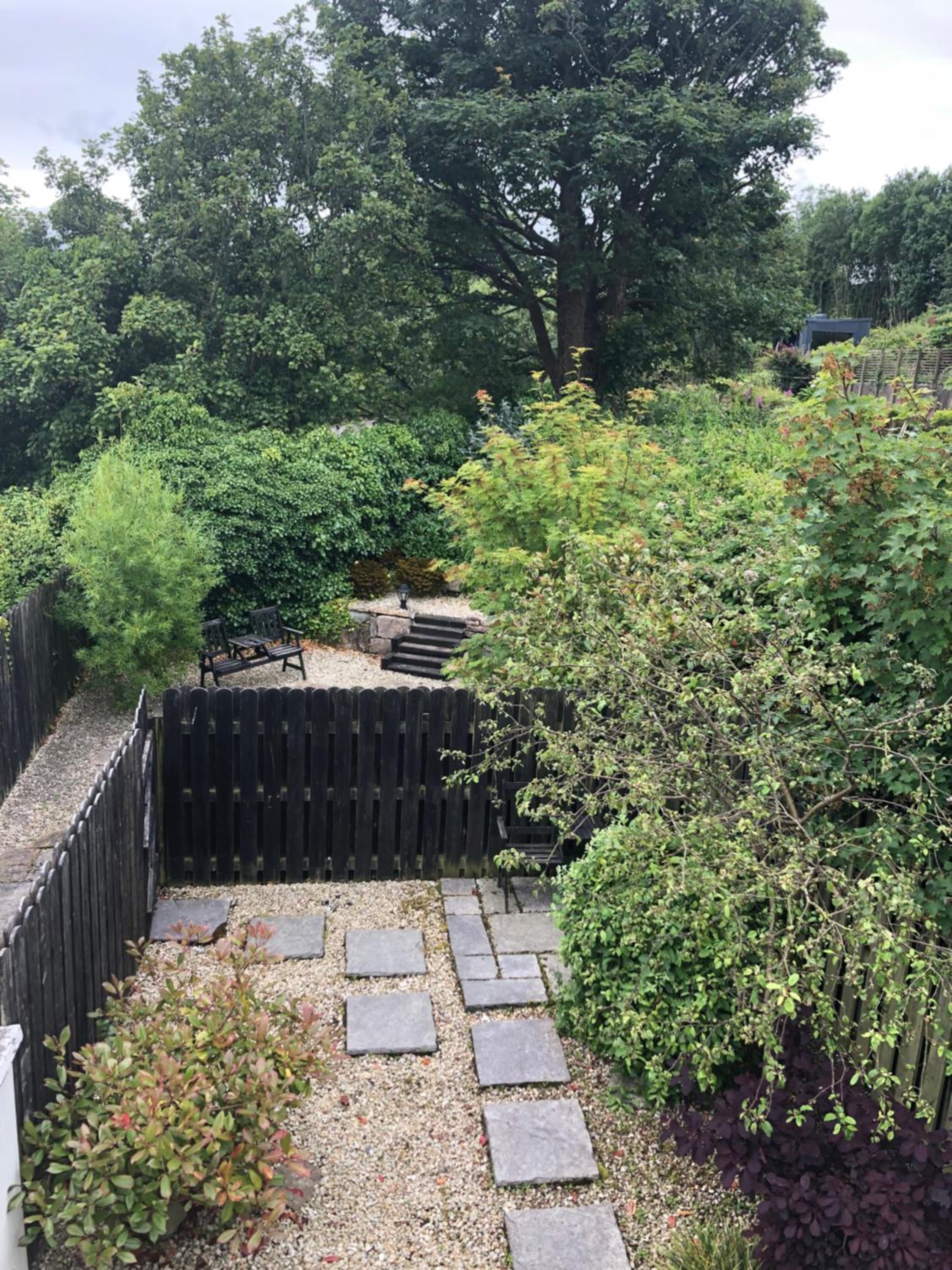 Apartment with Terrace photo 3