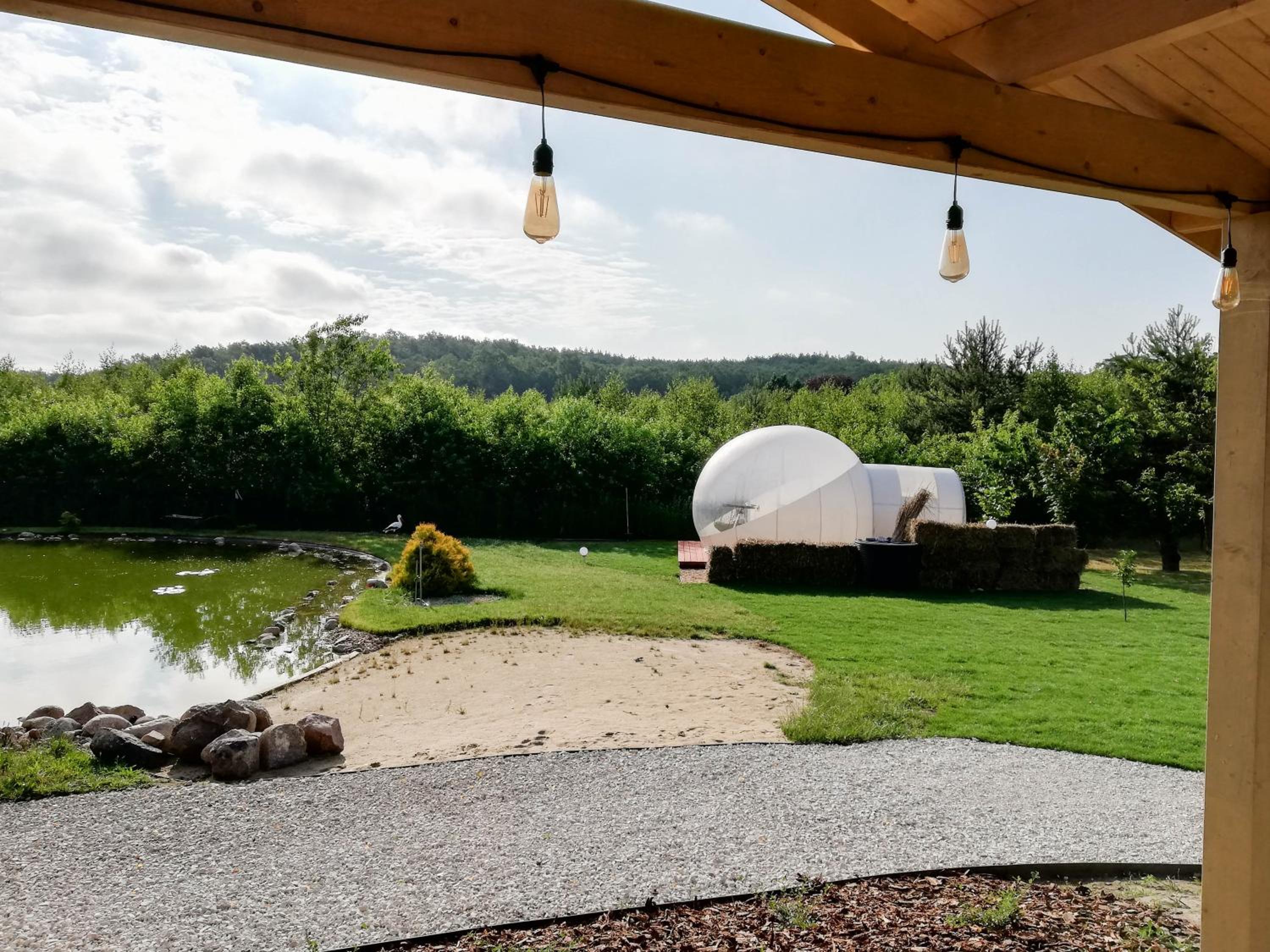 Bitcoin Bubble Tent - Photo 8