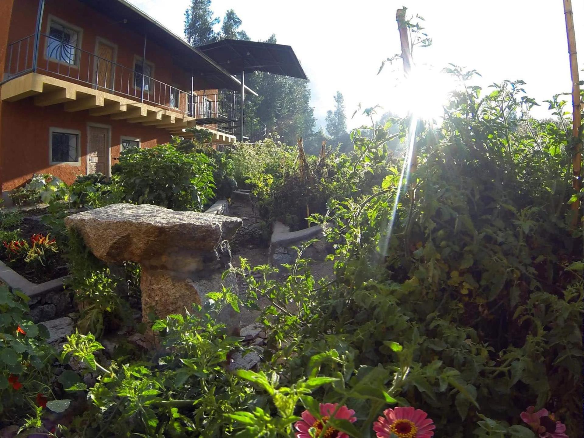 Suite with Balcony photo 2