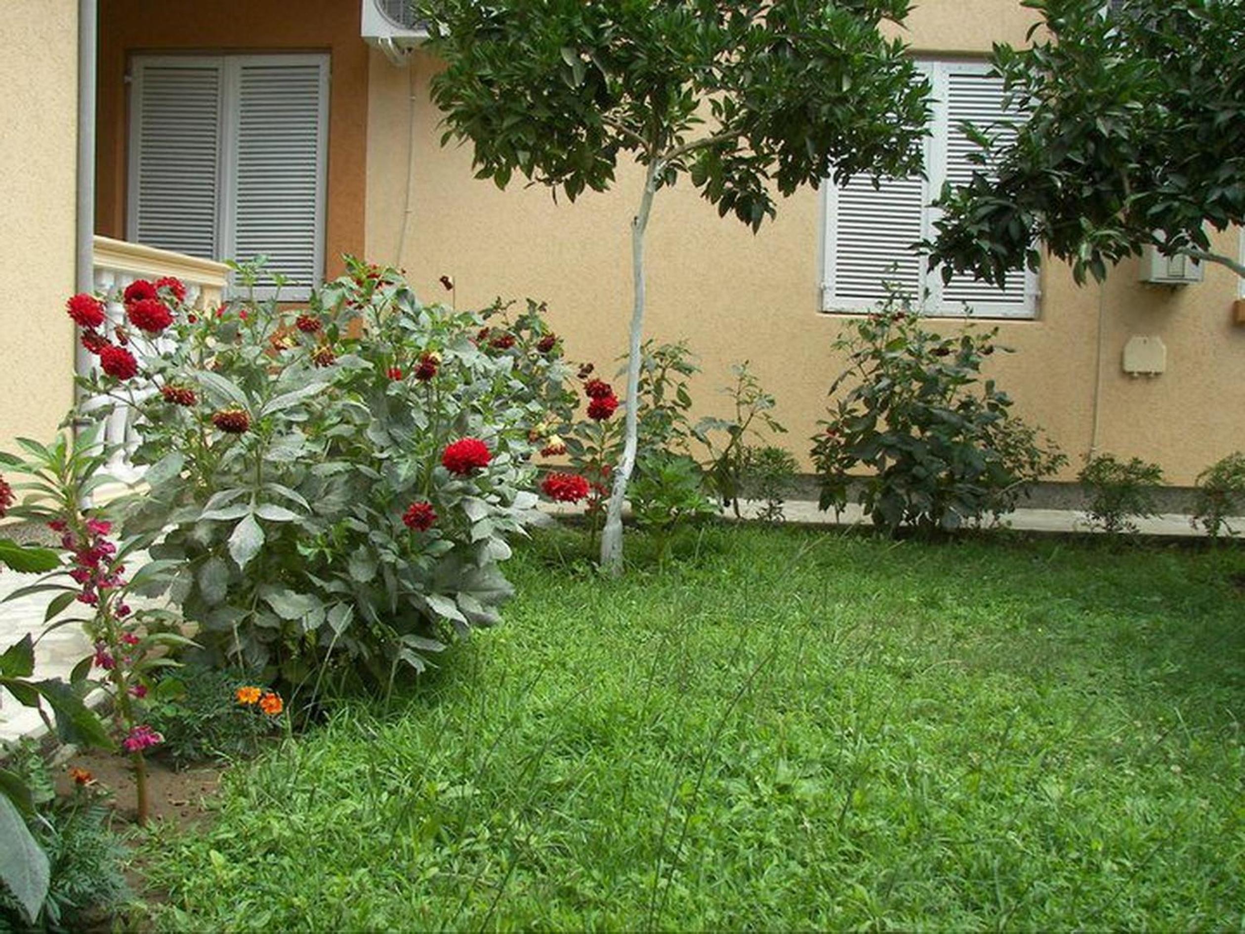 Studio with Balcony (3 Adults) 