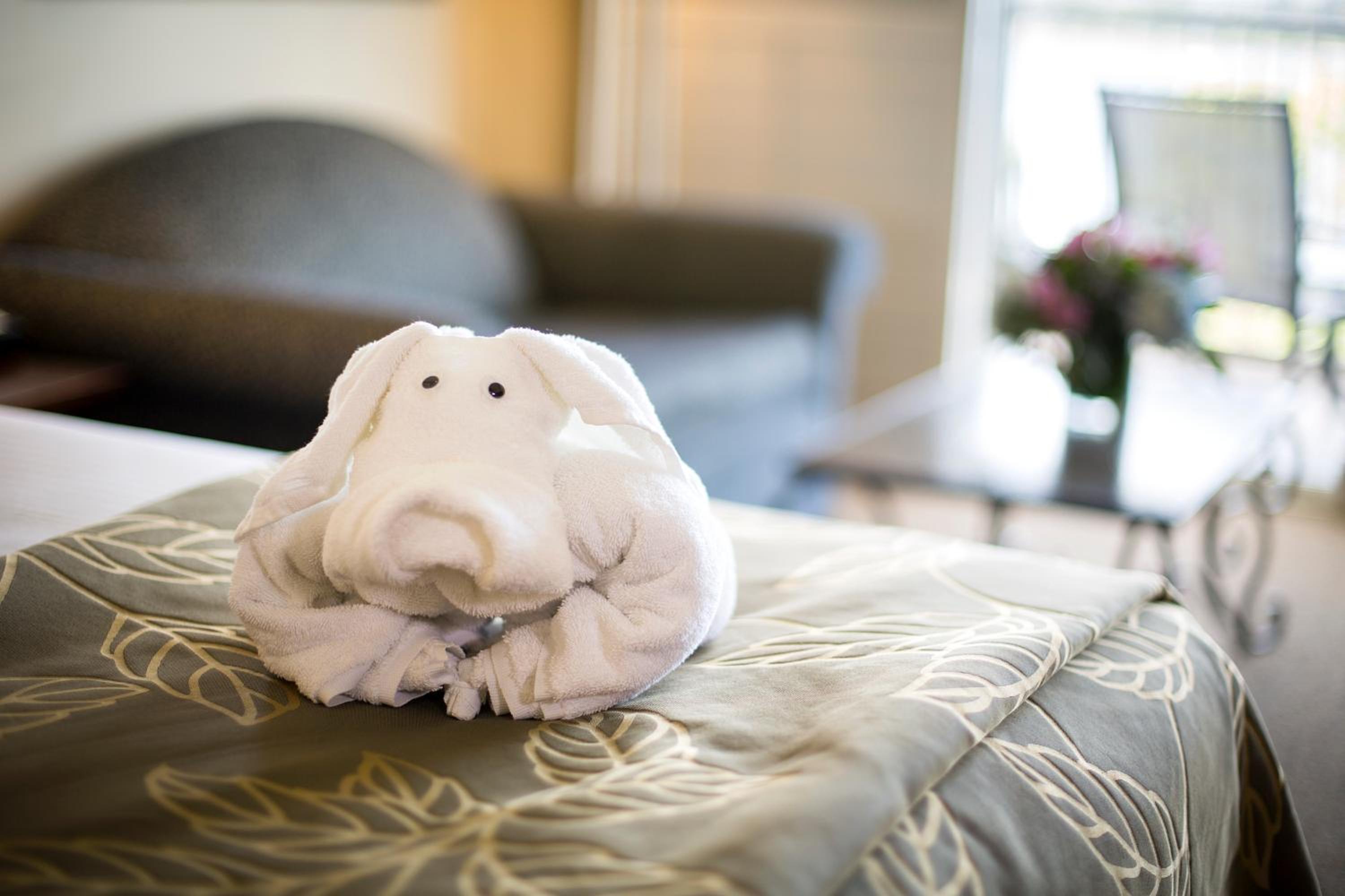 Junior Suite, 1 King Bed, Park View - Photo 4