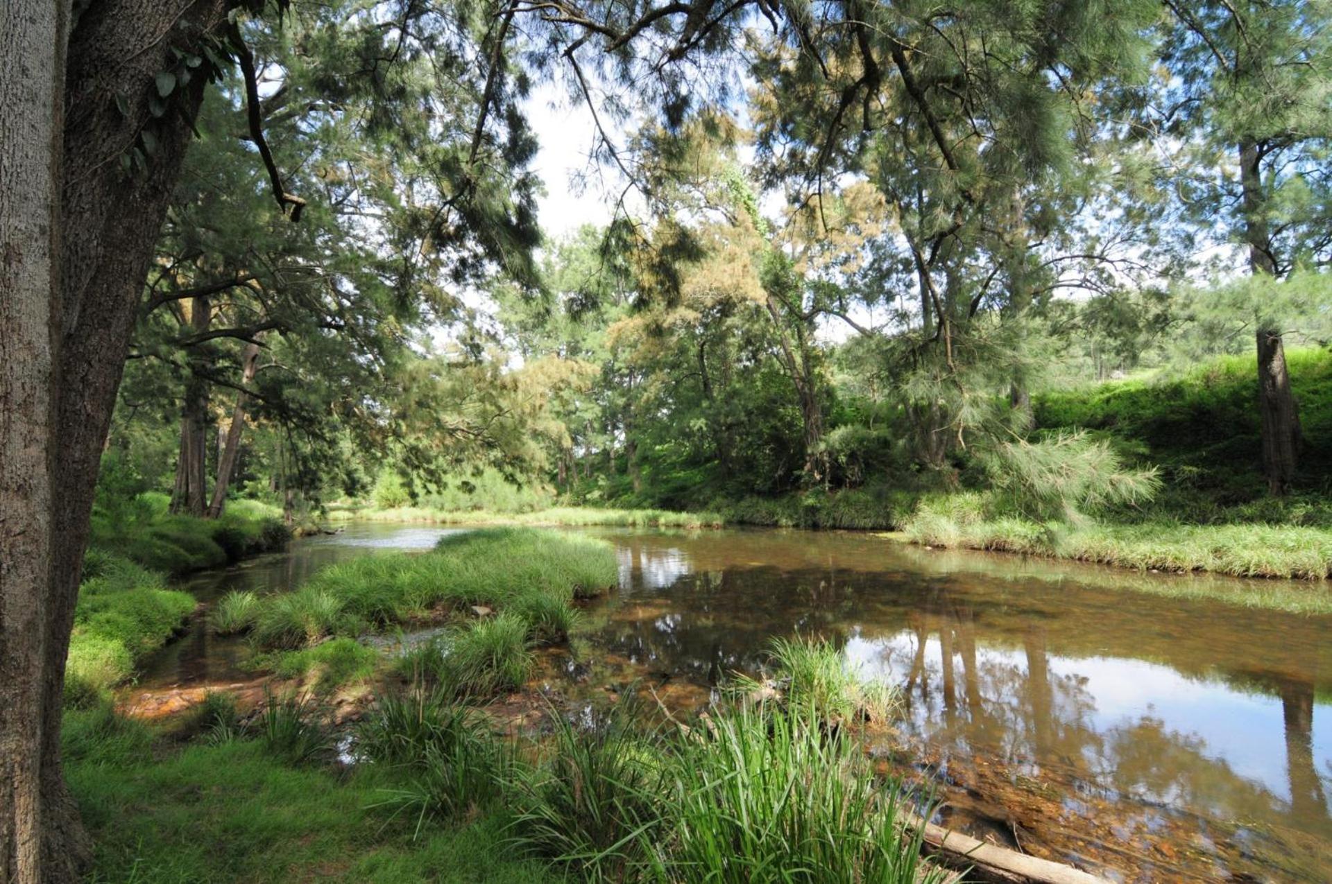 Vacation Home photo 3