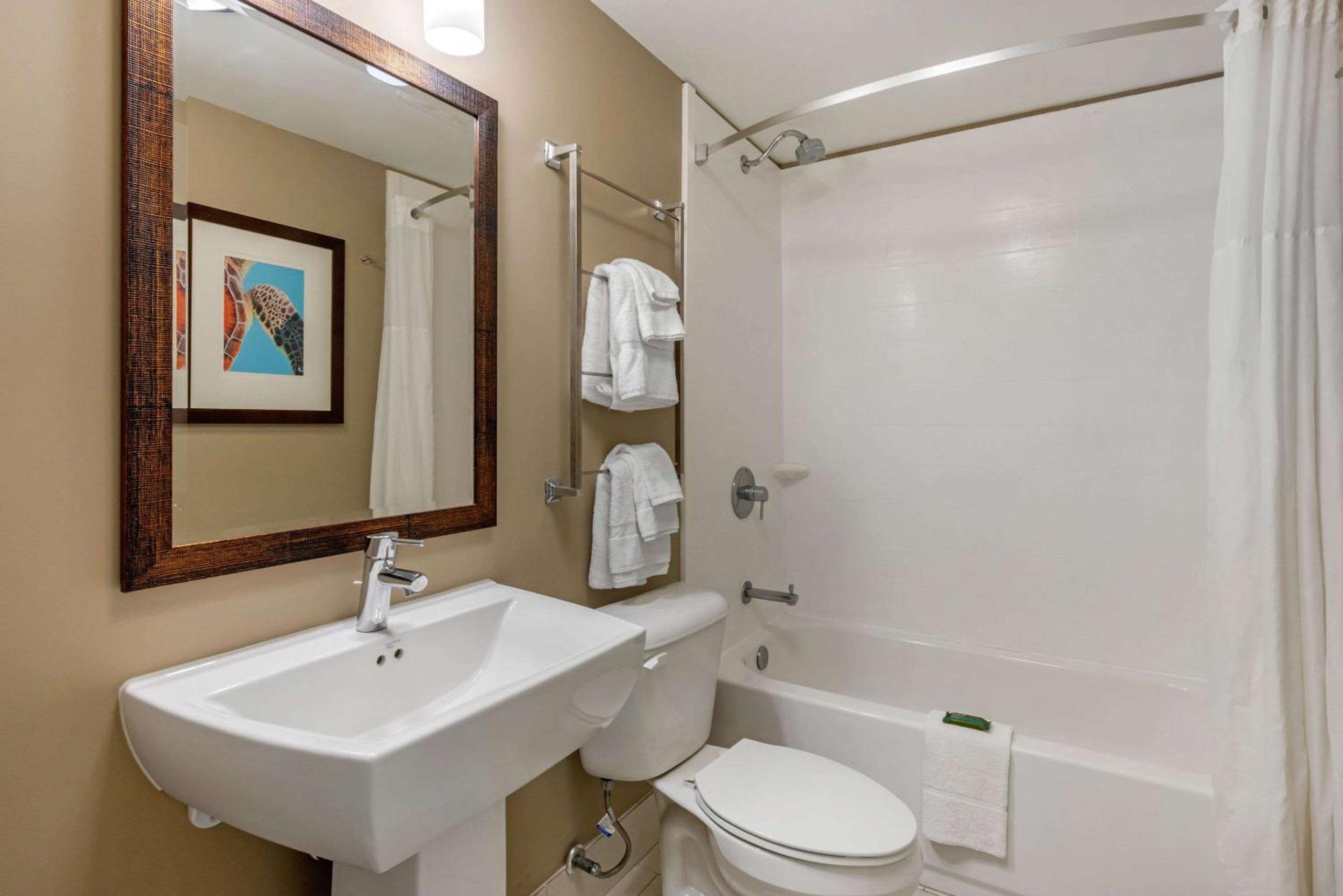 One Bedroom Double Suite - Photo 13