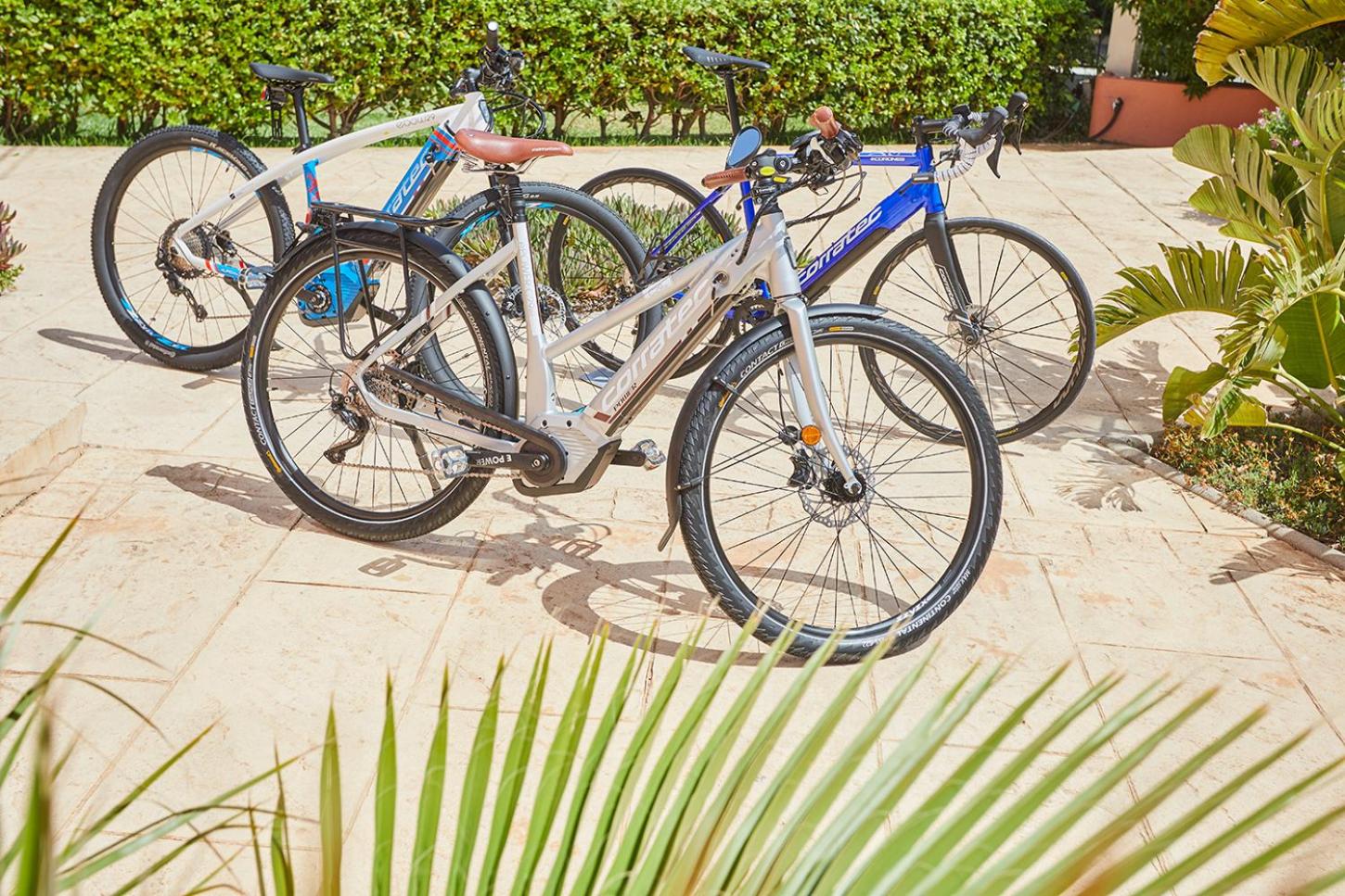 Double or Twin Room Cycling Package thumbnail 6