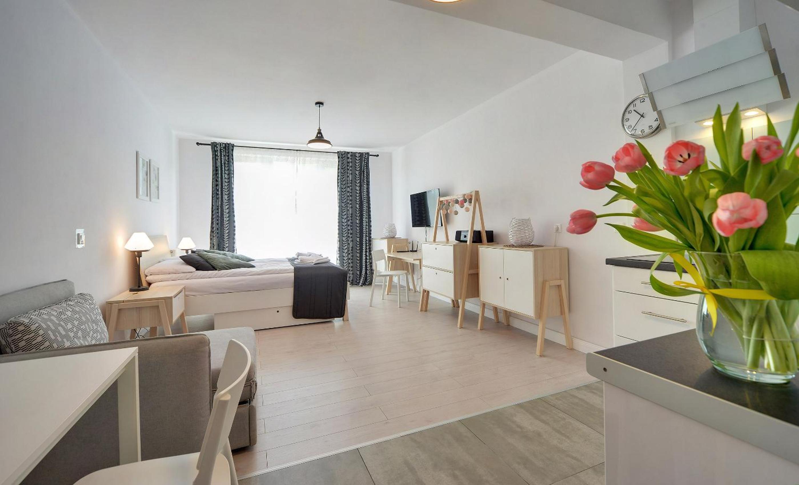 Studio Apartment photo 1