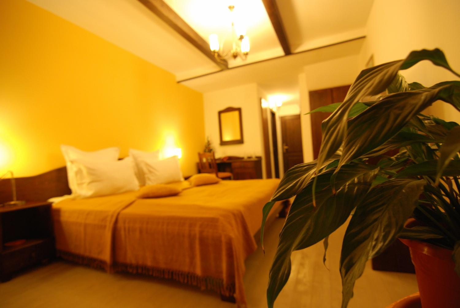 Double Room with Mountain View photo 3